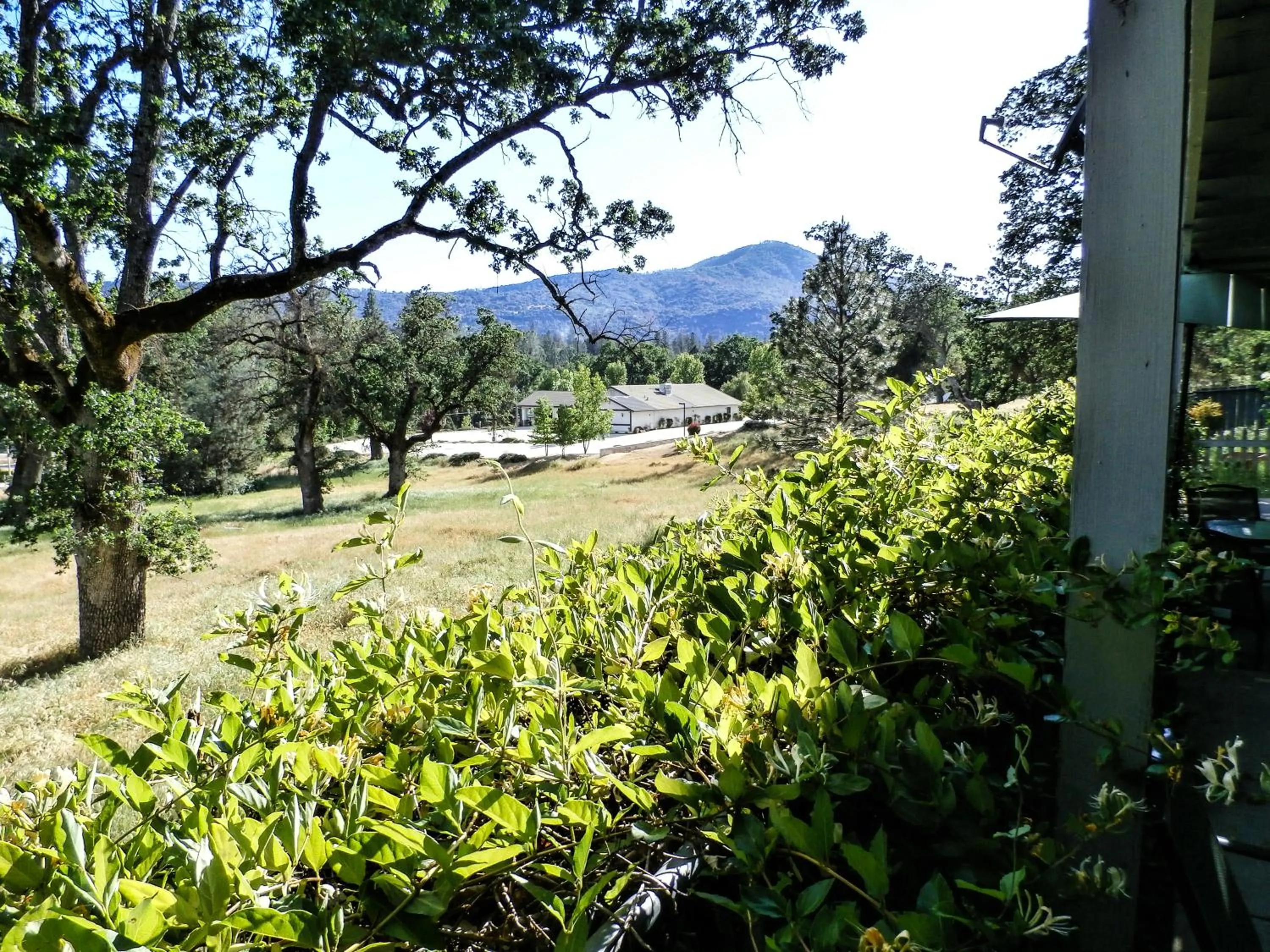 Mountain view in Charming Downstairs Unit