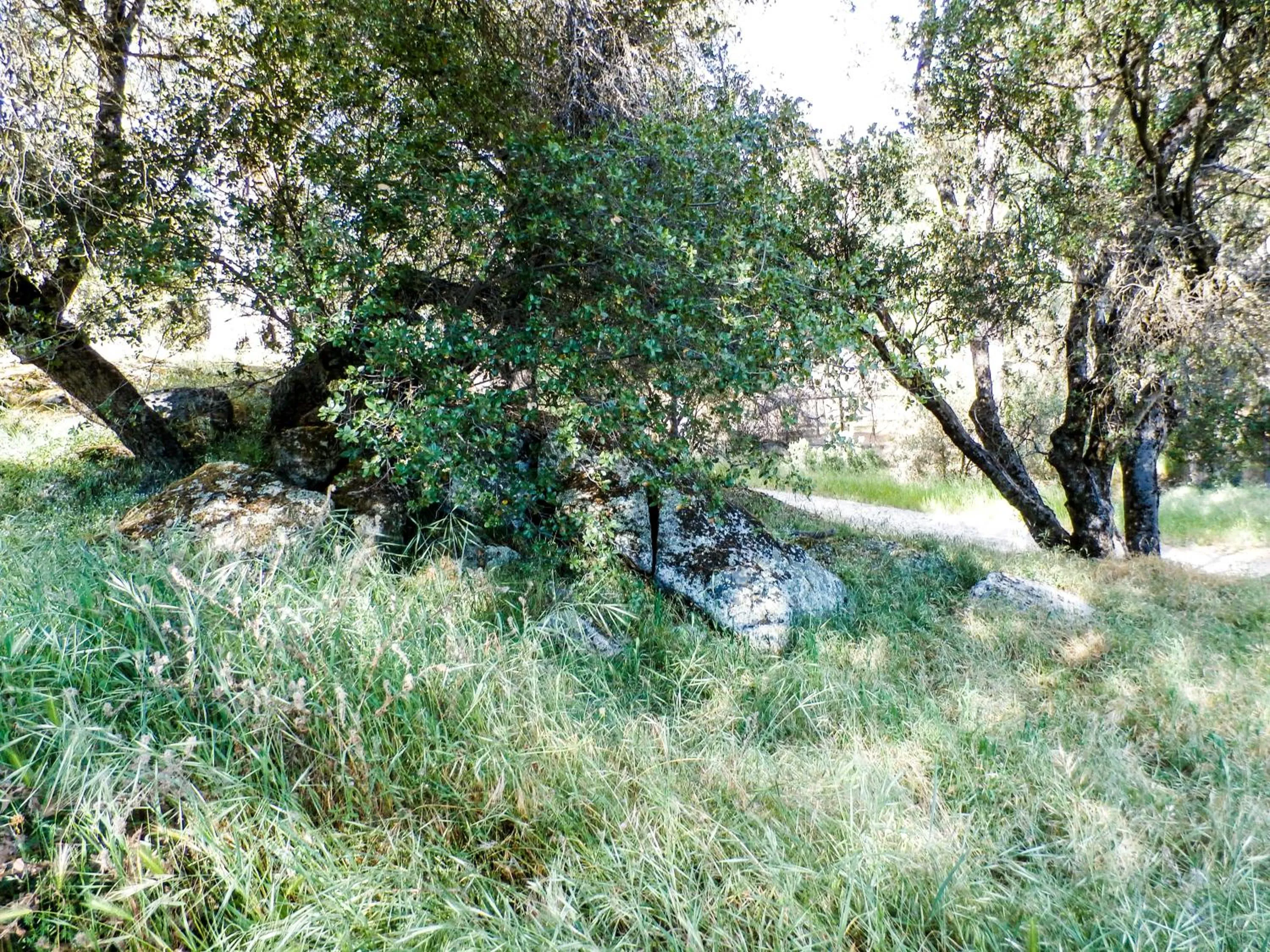 Landmark view in Charming Downstairs Unit