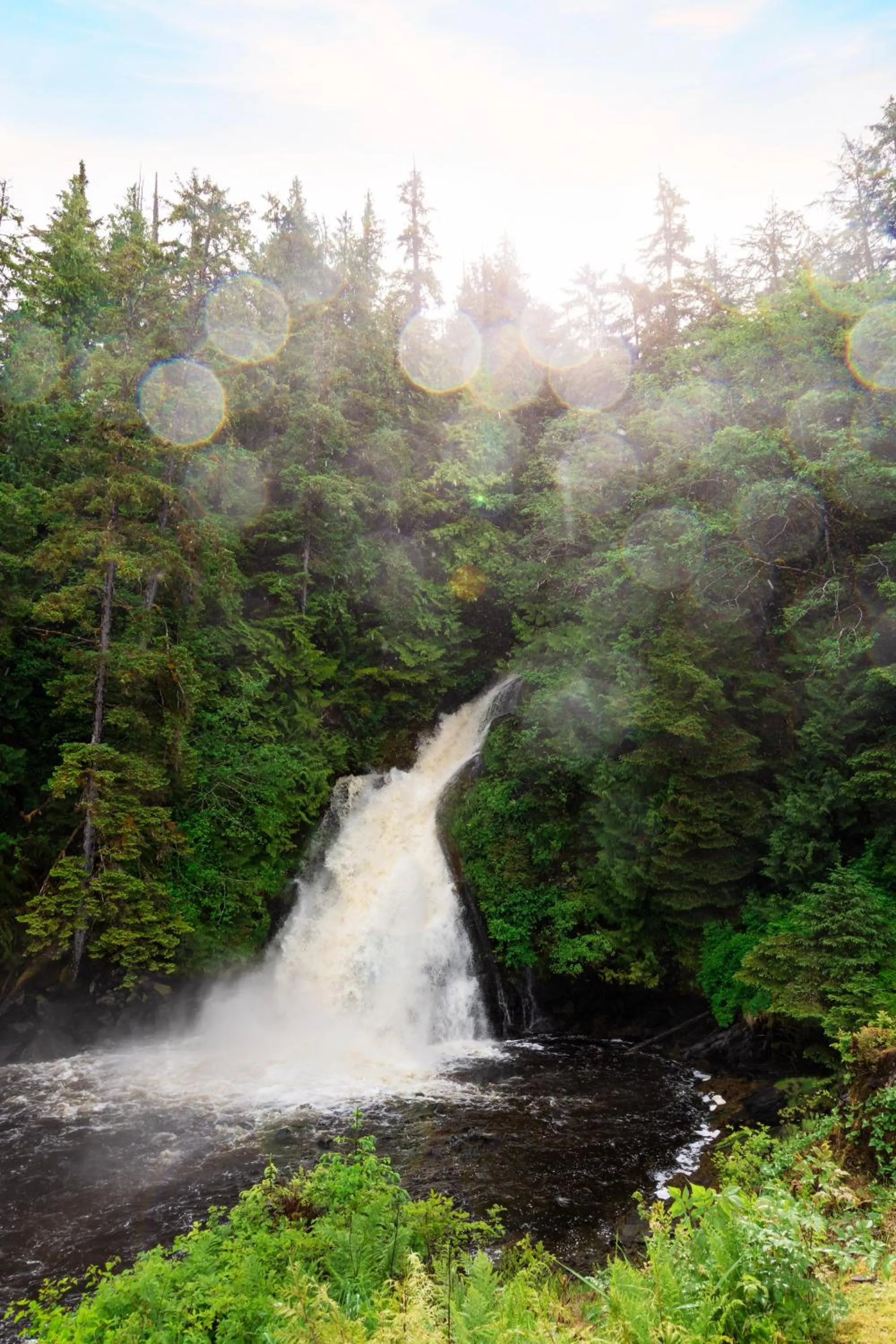 Natural landscape in Salmon Falls Resort