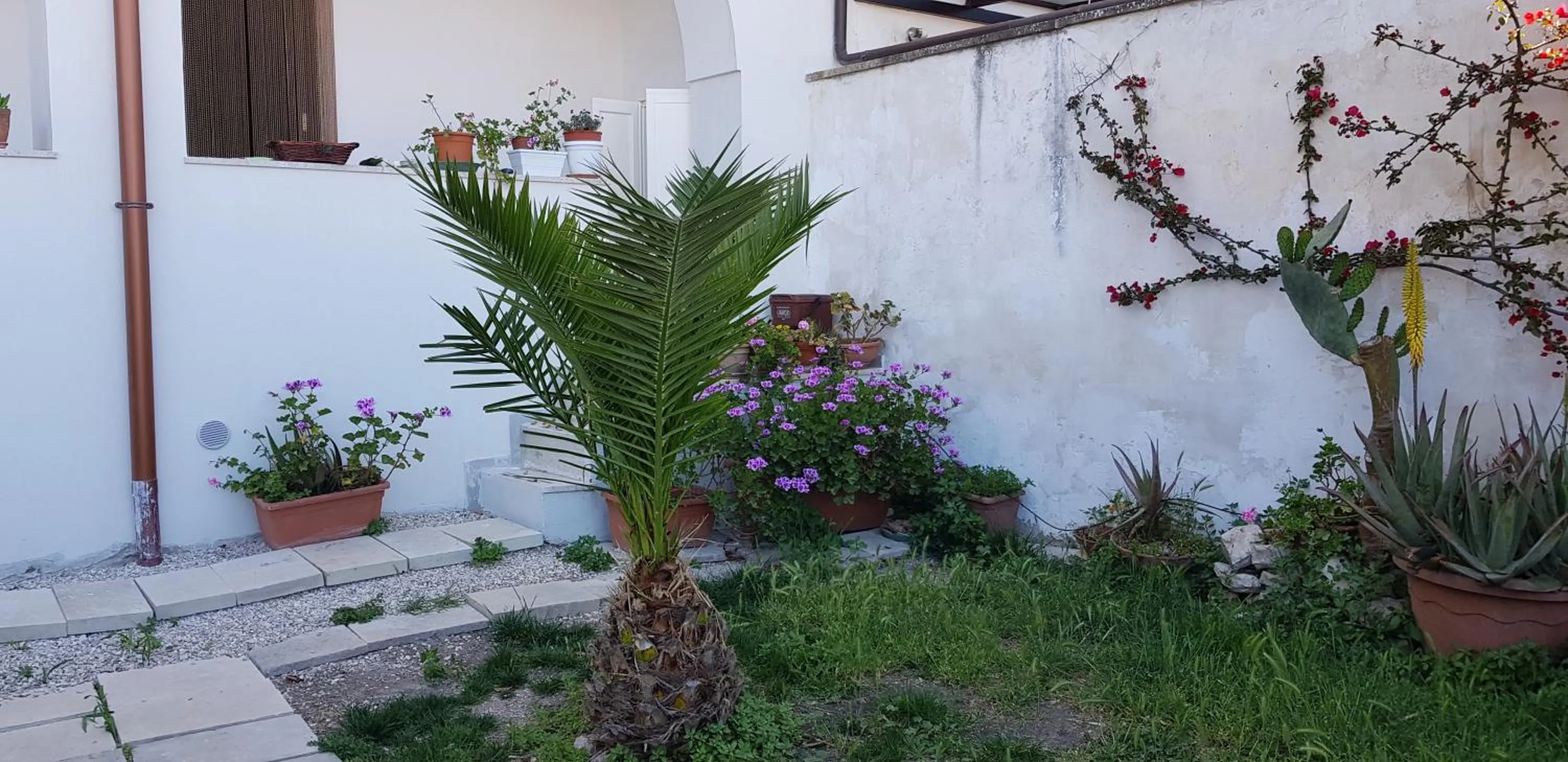 Garden view in La Casa Sul Porto