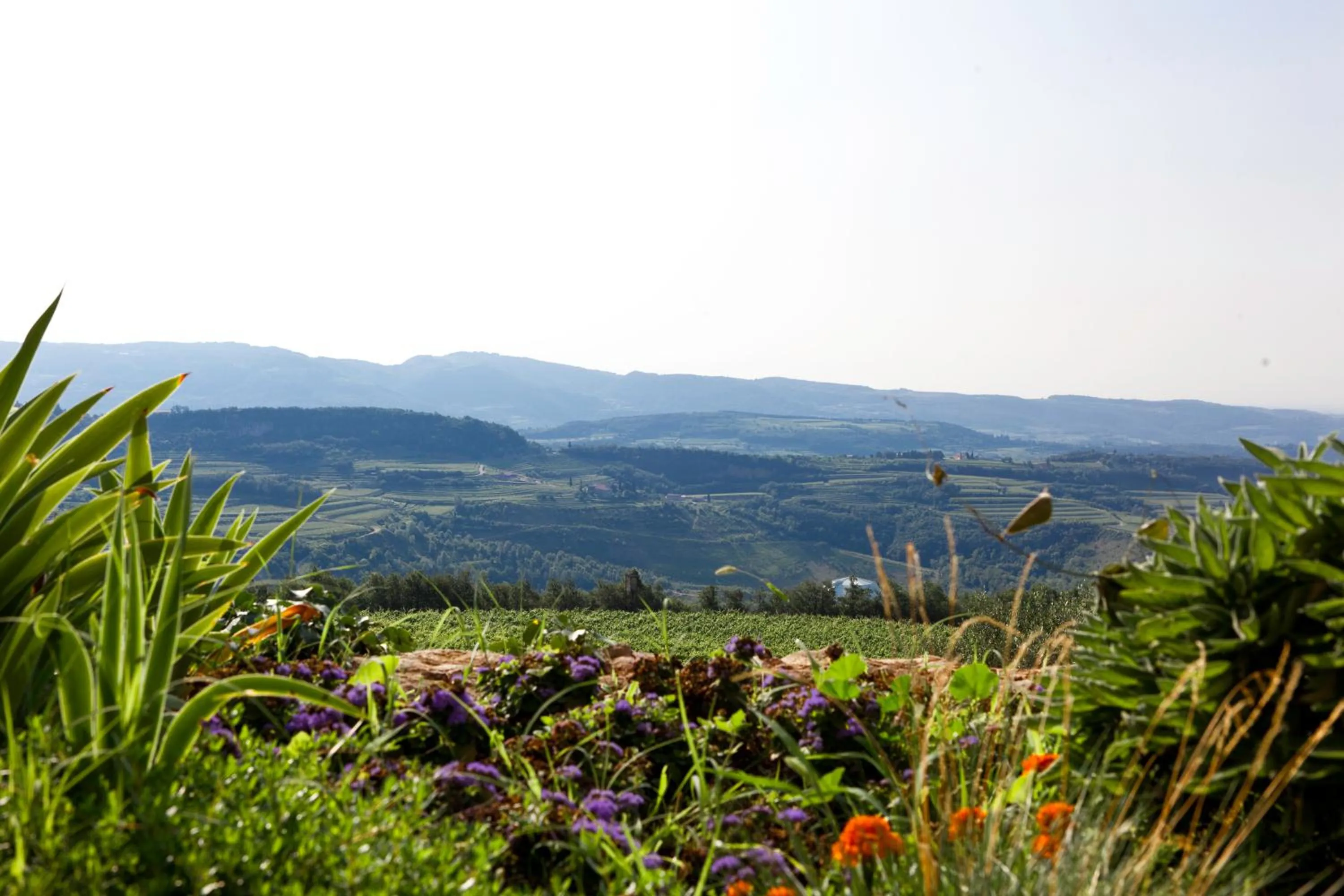 Natural landscape in B&B Le Corone