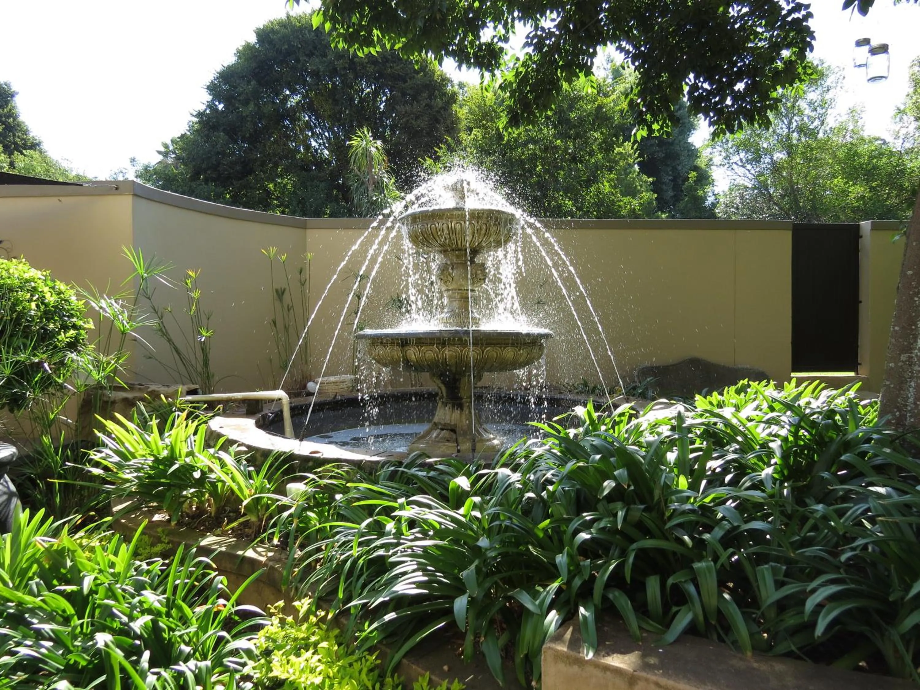 Garden in Dunton Guest House