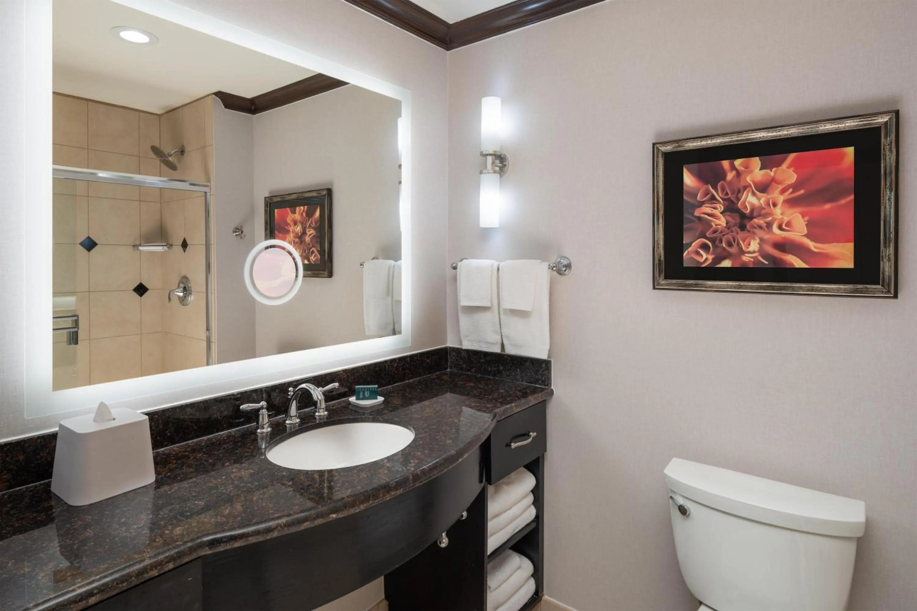 Bathroom in Hilton Dallas/Rockwall Lakefront Hotel