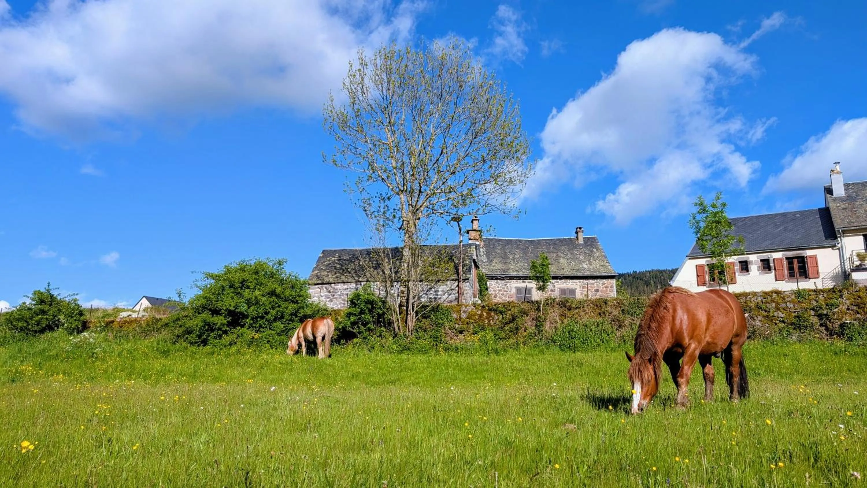Hôtel Restaurant du Plomb du Cantal