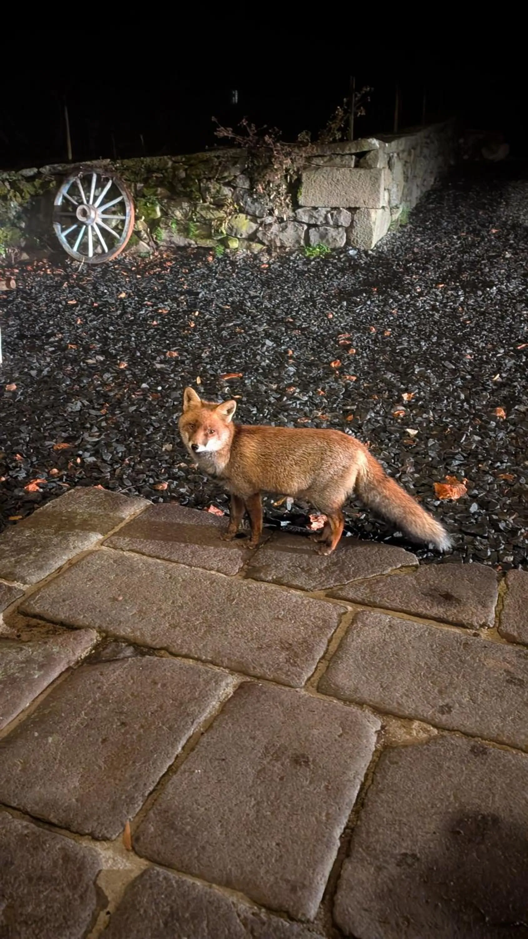 Hôtel Restaurant du Plomb du Cantal