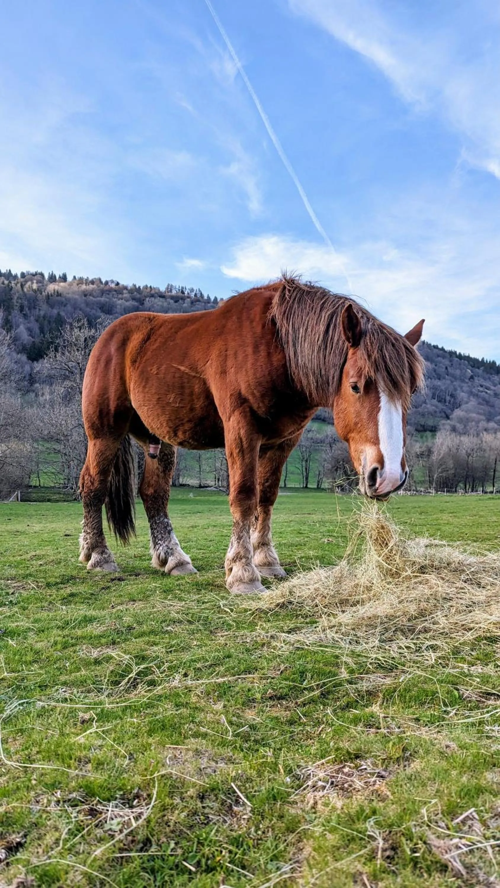 Hôtel Restaurant du Plomb du Cantal