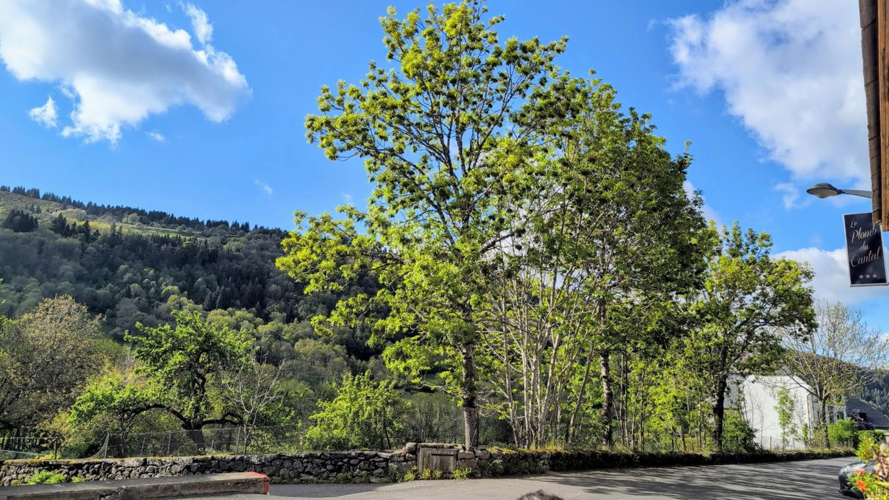 Hôtel Restaurant du Plomb du Cantal