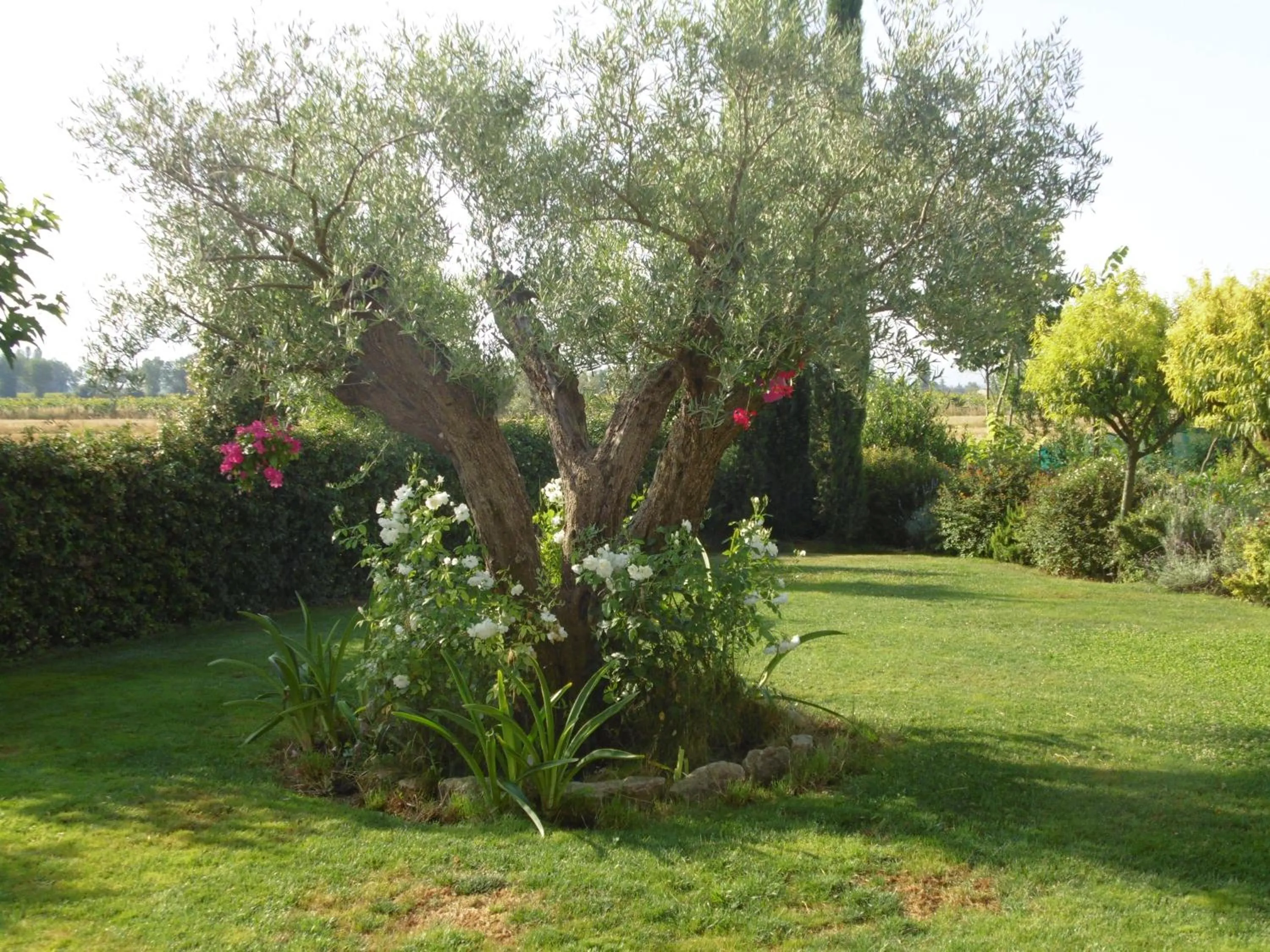 Property building in B&B La Gioiosa
