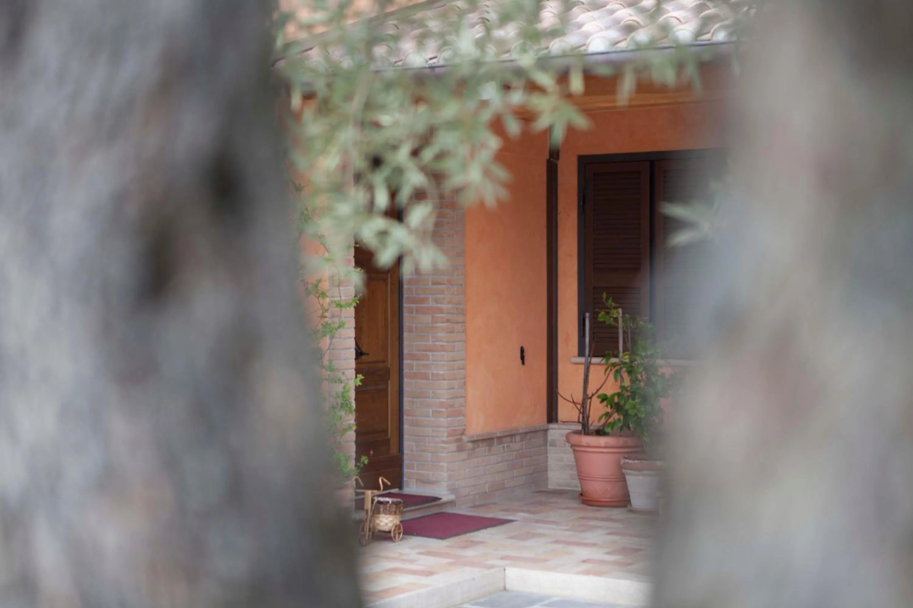 Day in B&B La Gioiosa