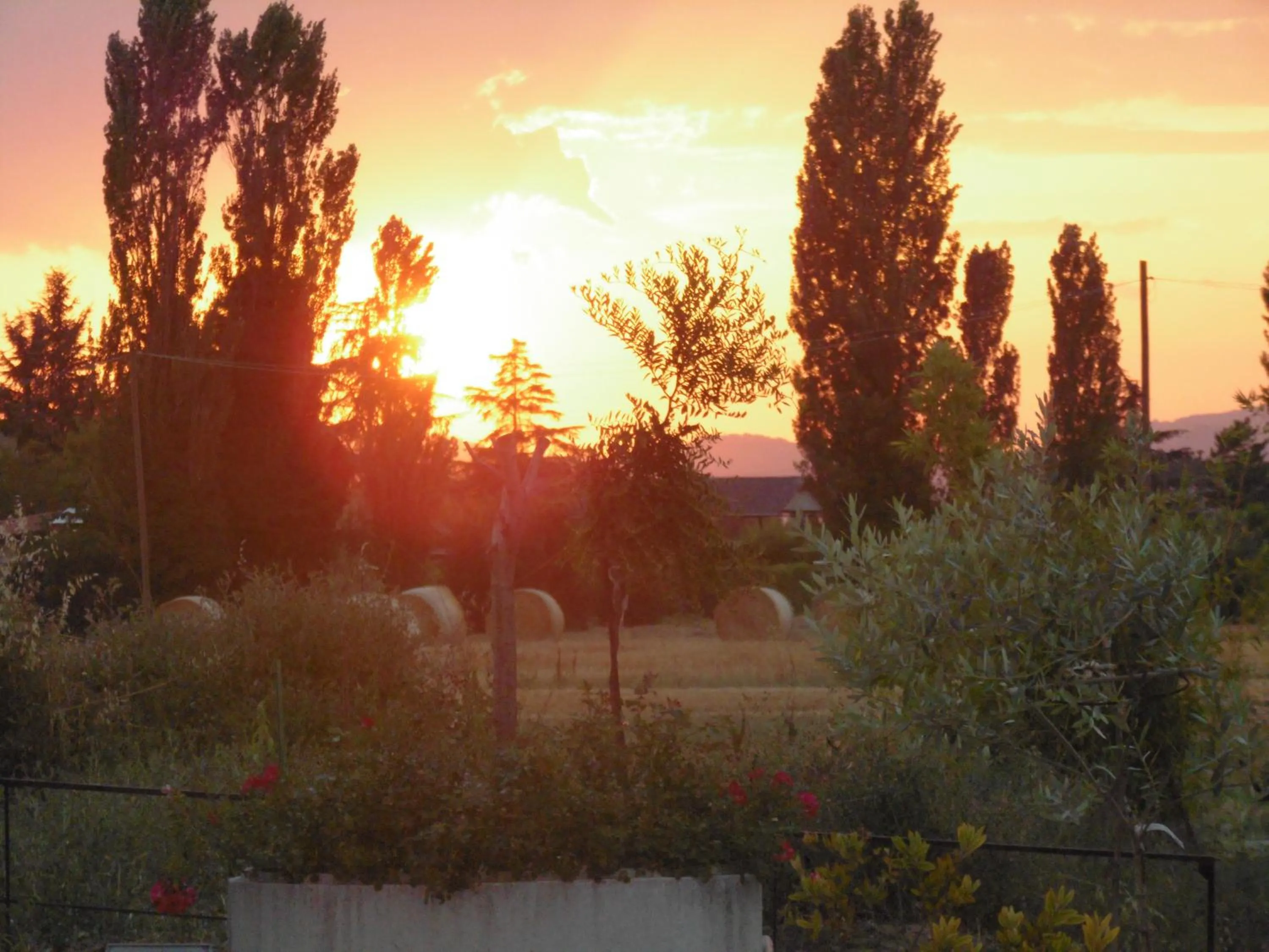 Property building in B&B La Gioiosa