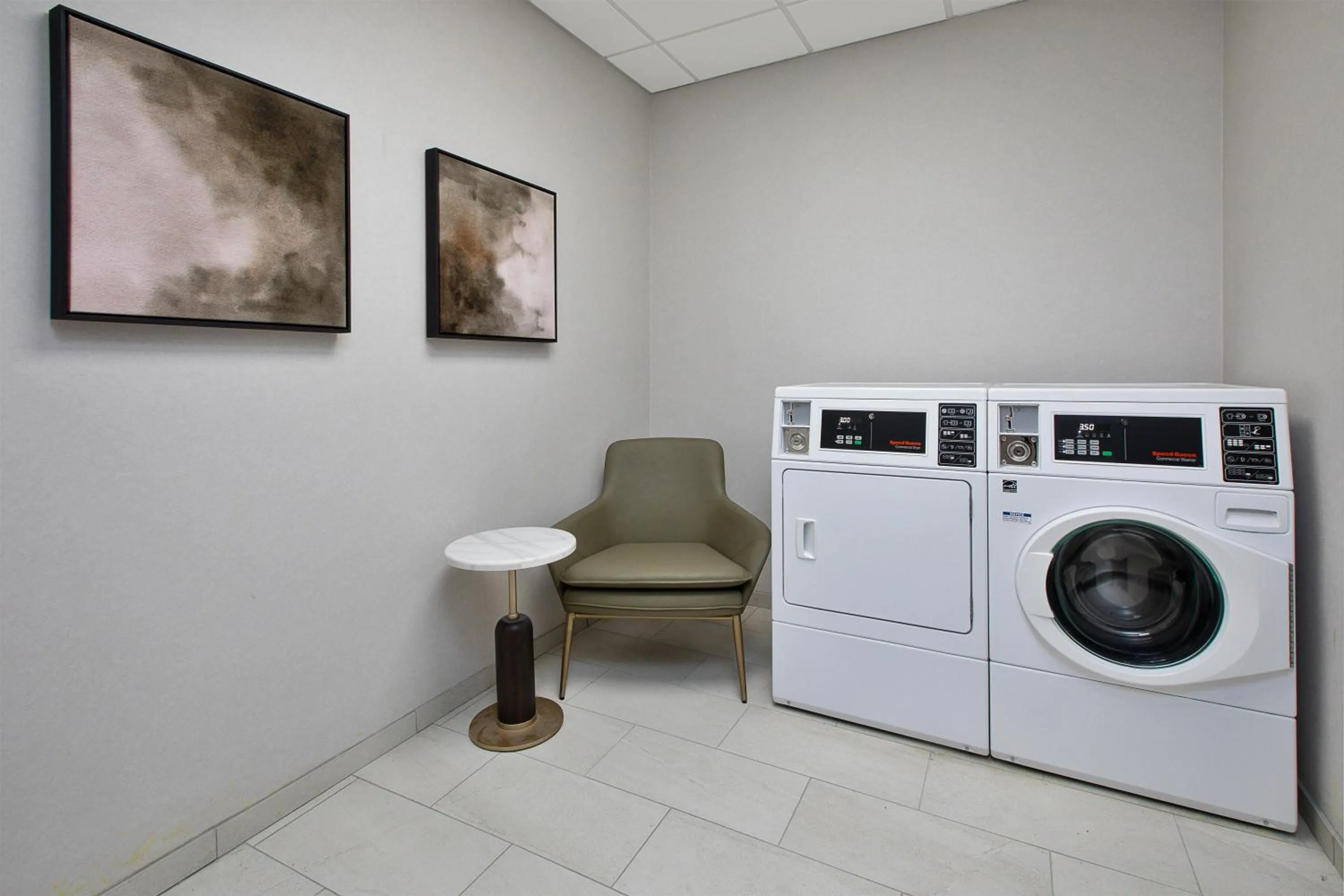 laundry in DoubleTree by Hilton Hotel Detroit Novi