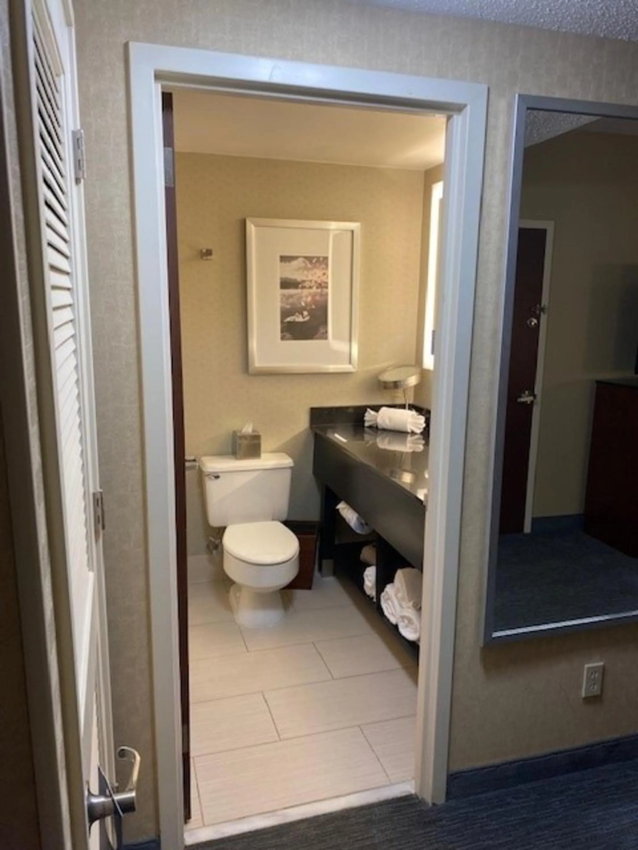 Bathroom in DoubleTree by Hilton Hotel Detroit Novi