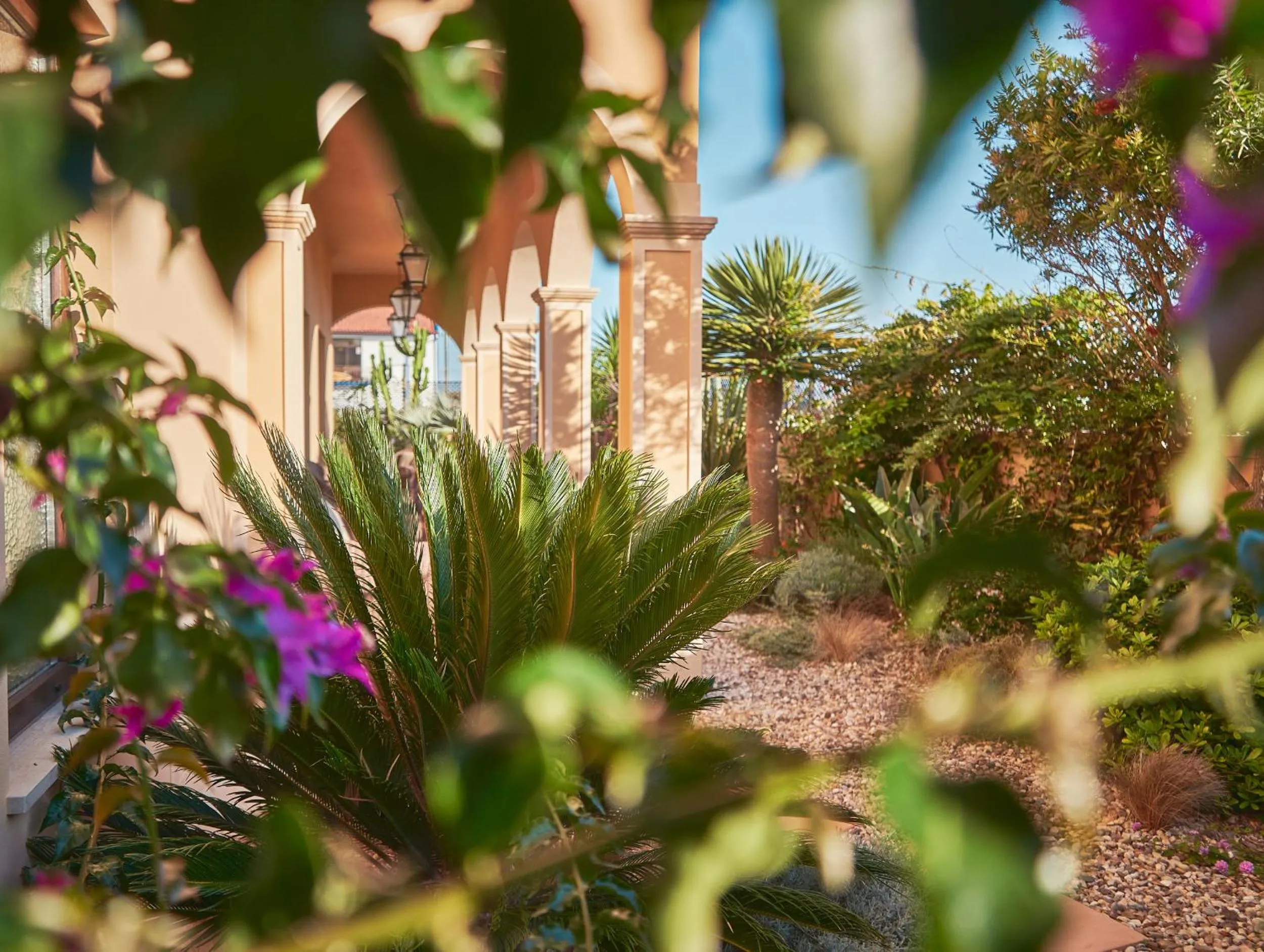 Garden in Silver Coast Beach Residence