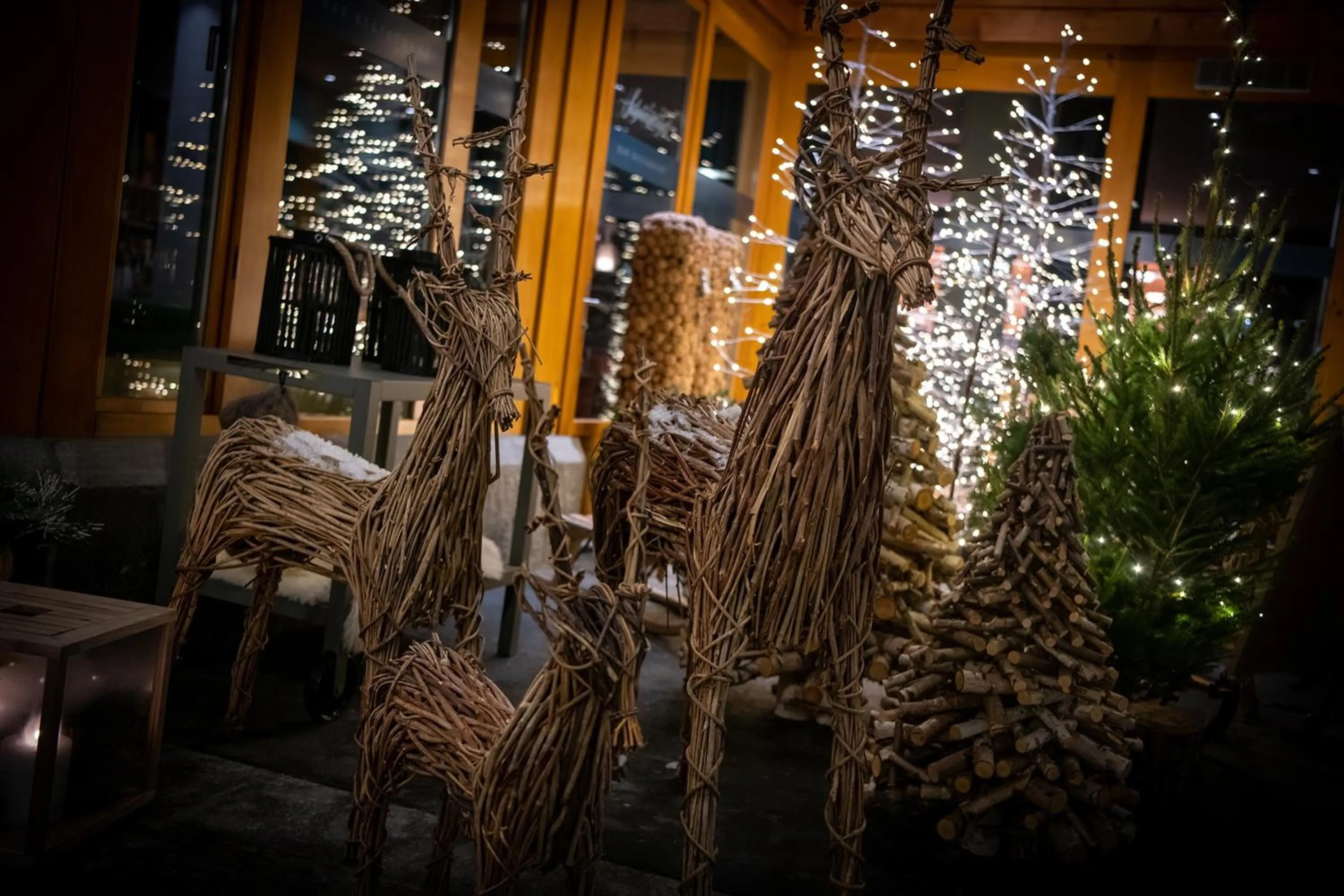 Winter in Hotel Schweizerhof Lenzerheide