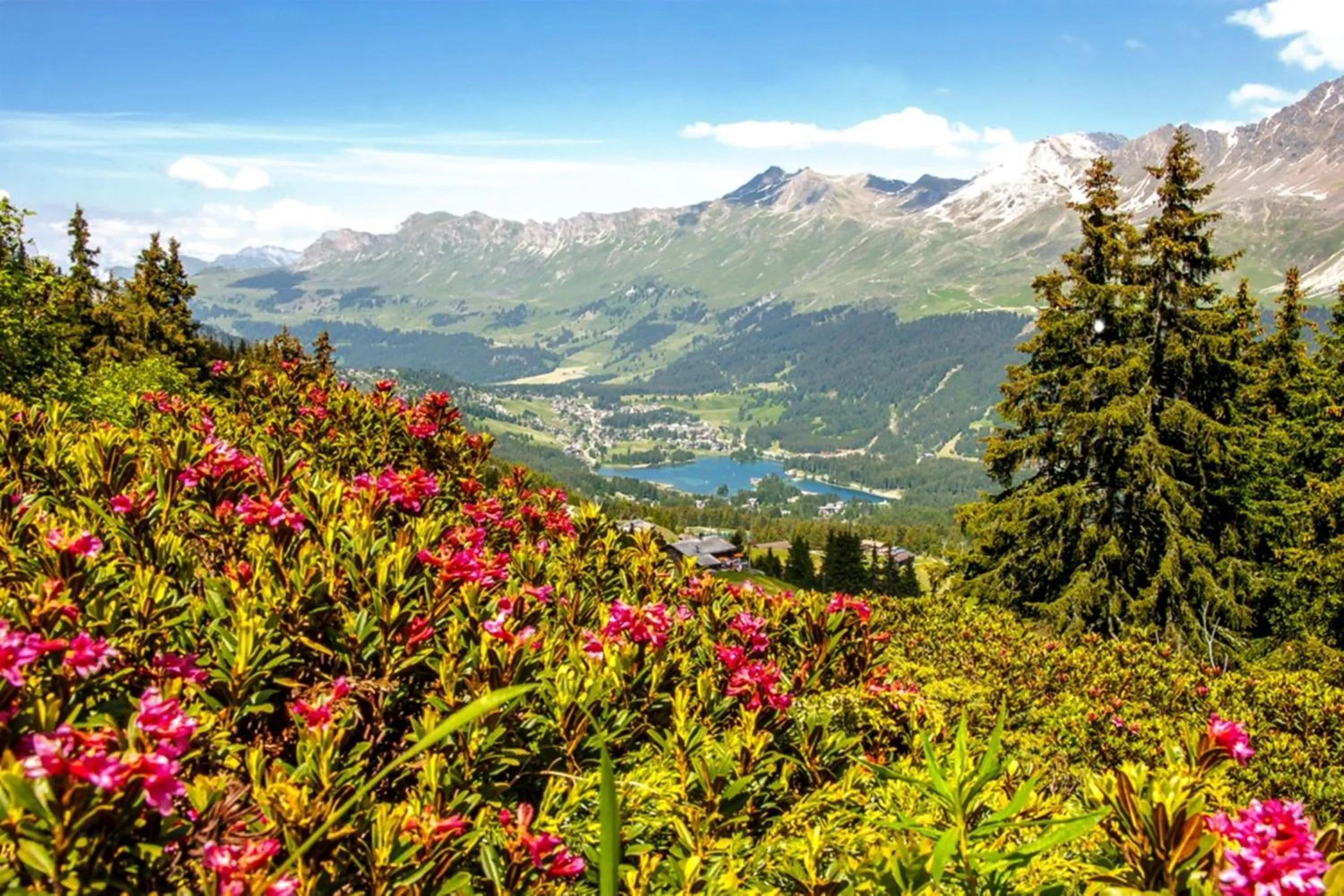 Natural landscape in Hotel Lenzerhorn - Alpine Stay, Spa & Savour