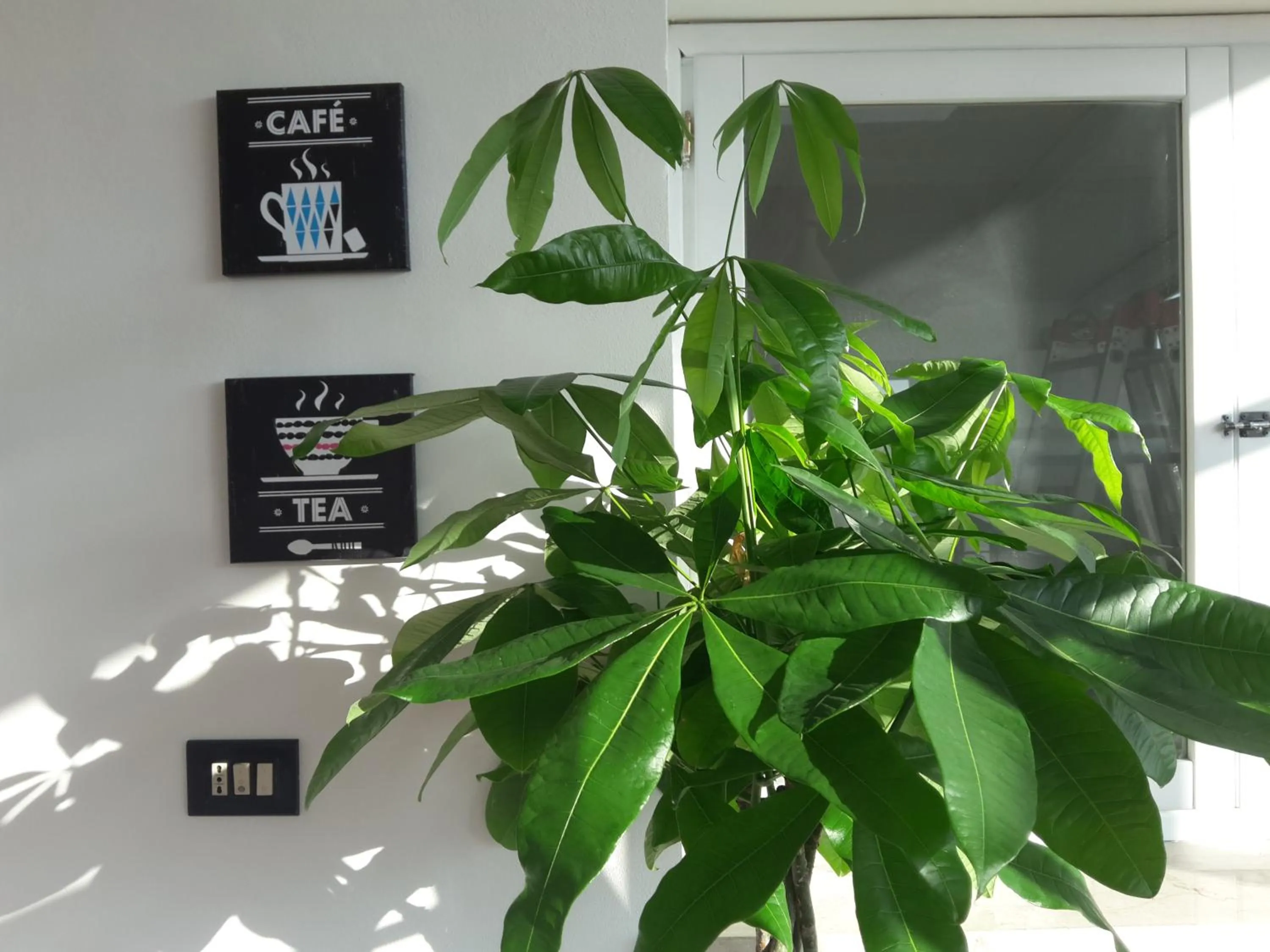 Decorative detail in Alma Nua