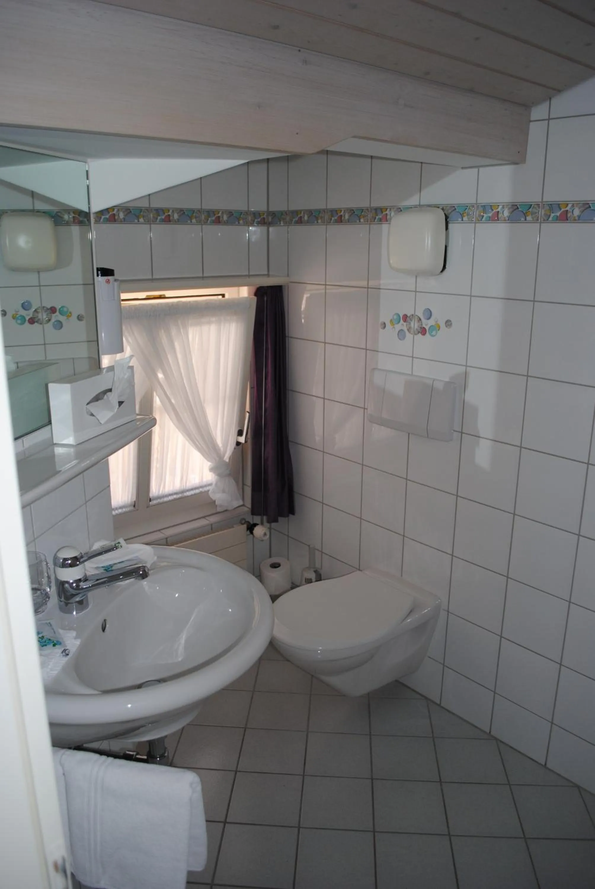 Bathroom in Hotel Châlet Du Lac