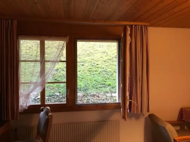 Garden view in Hotel Châlet Du Lac