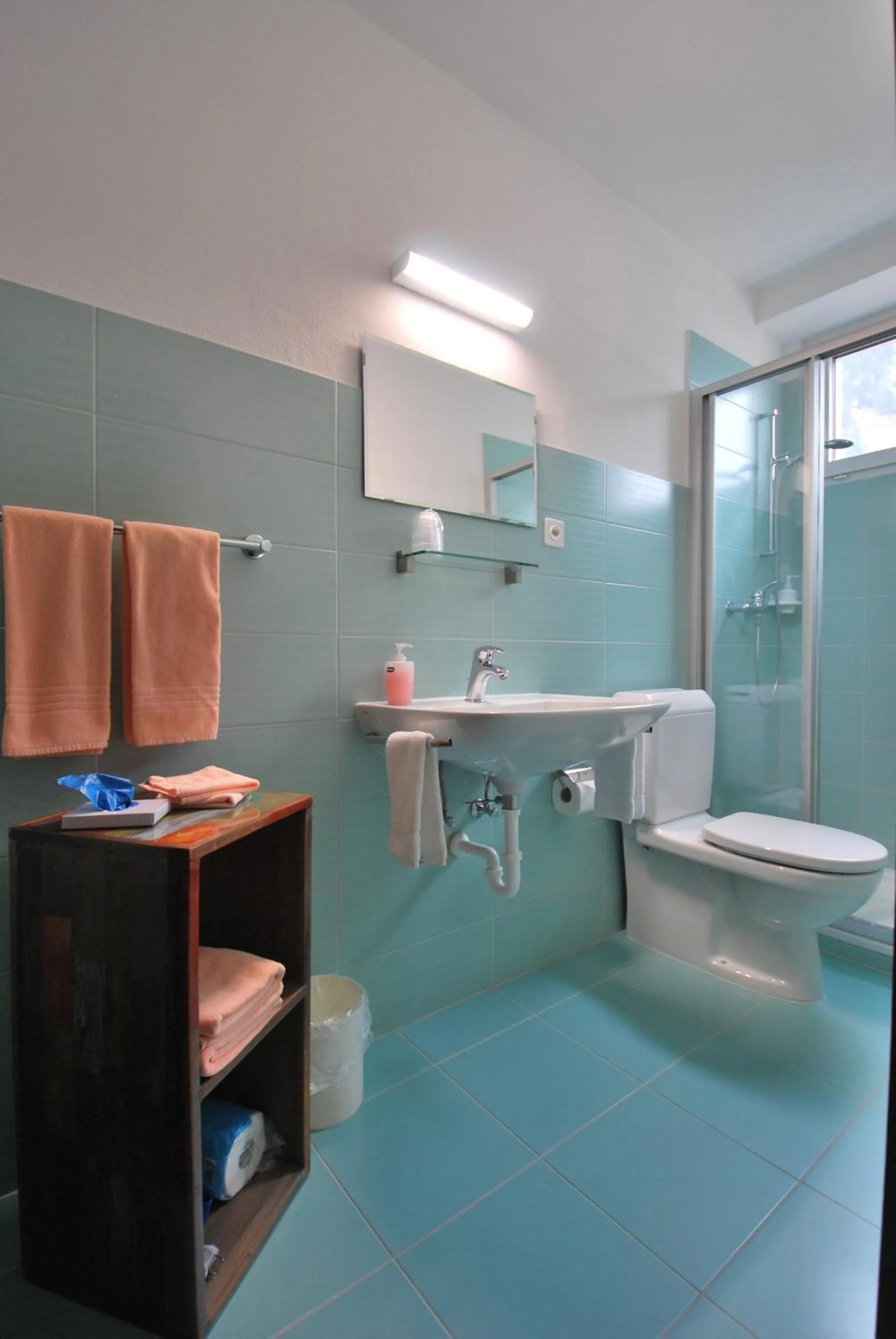 Shower in Hotel Ristorante Baldi