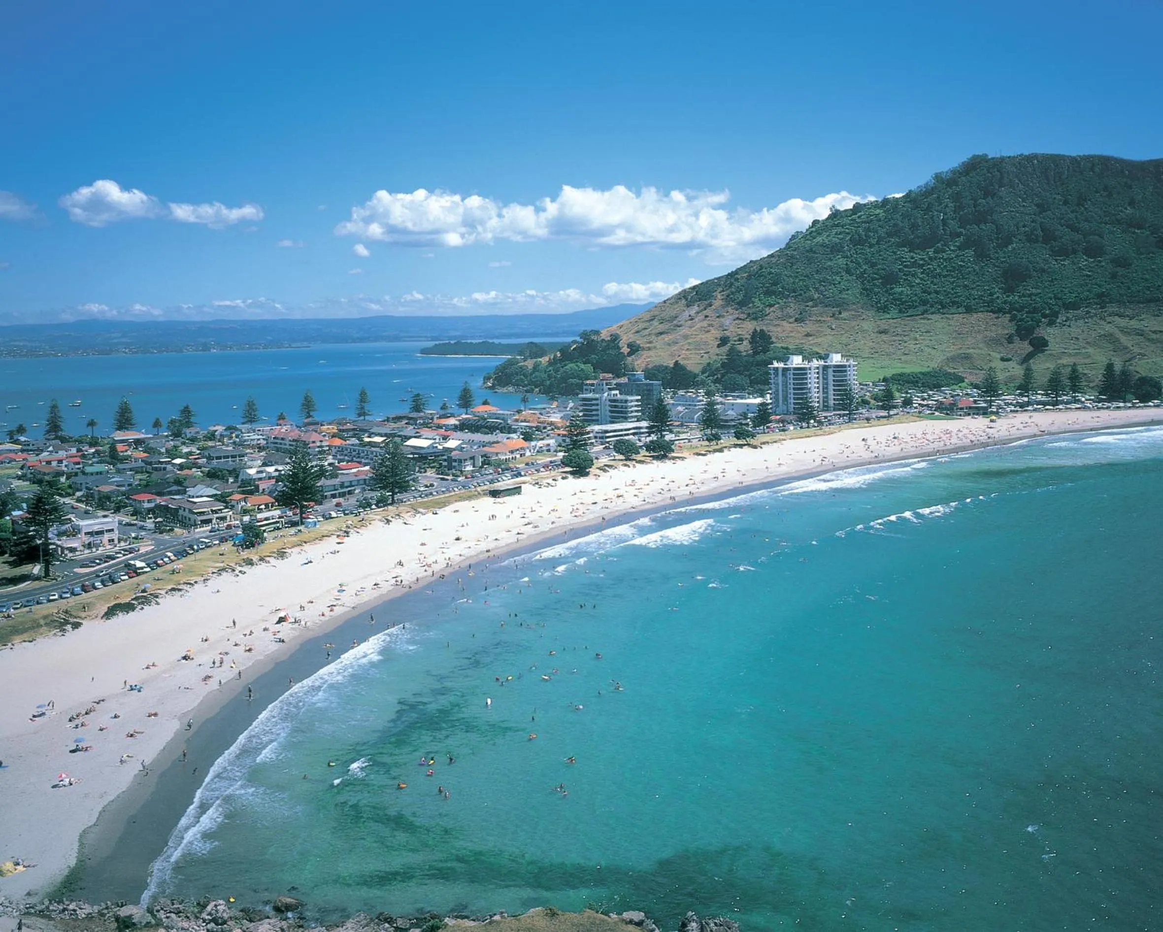 Natural landscape in The Atrium