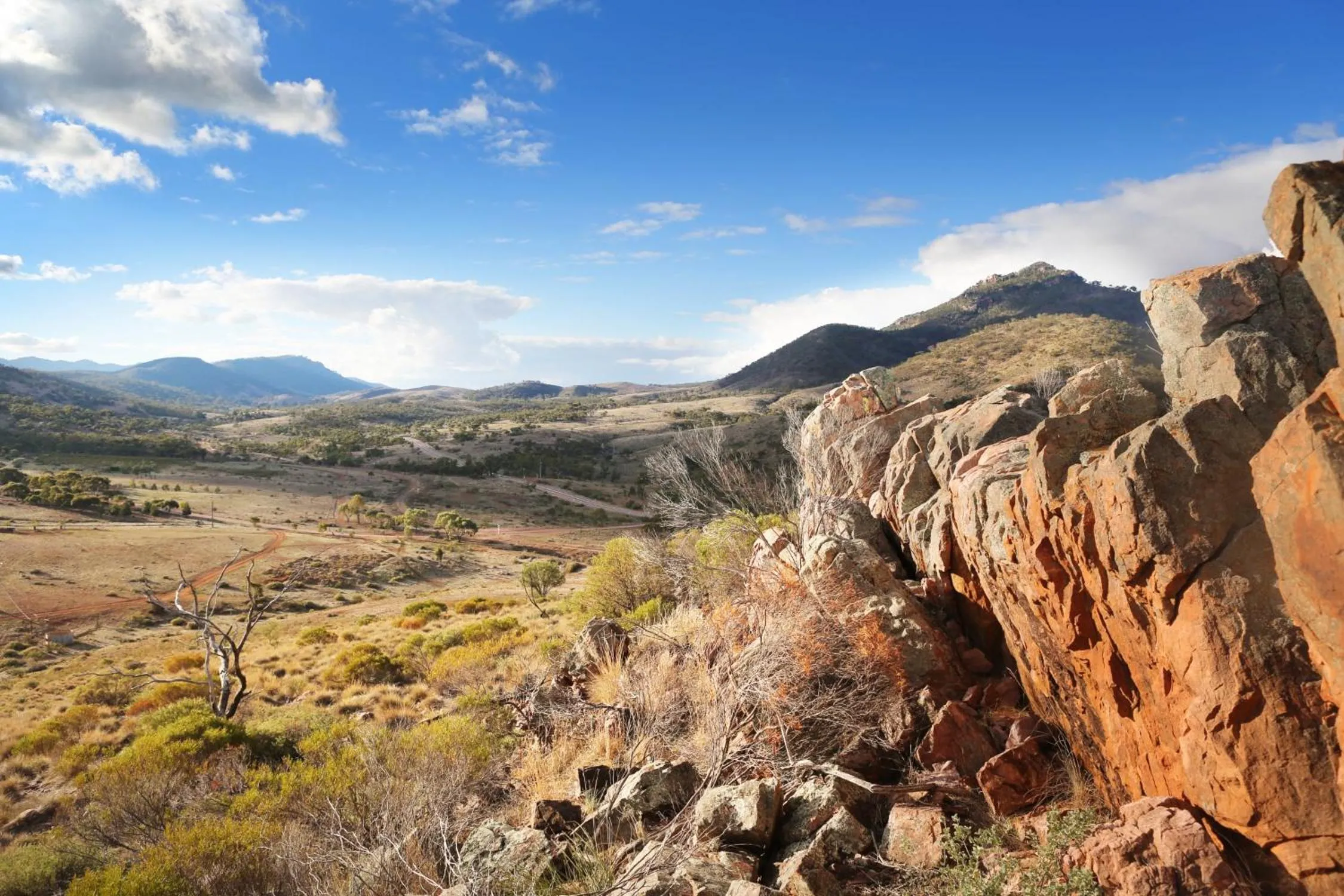 Natural landscape in Pichi Richi Park