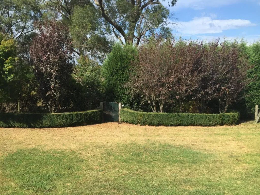 Garden in Stately Bowral Designer Home