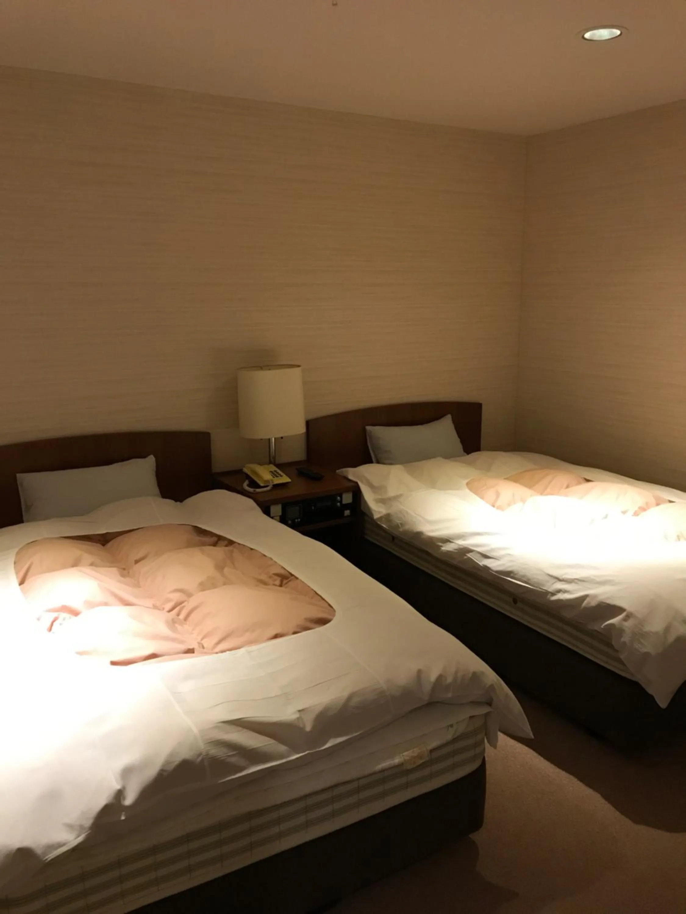 Photo of the whole room, Bed in Hotel Higashidate