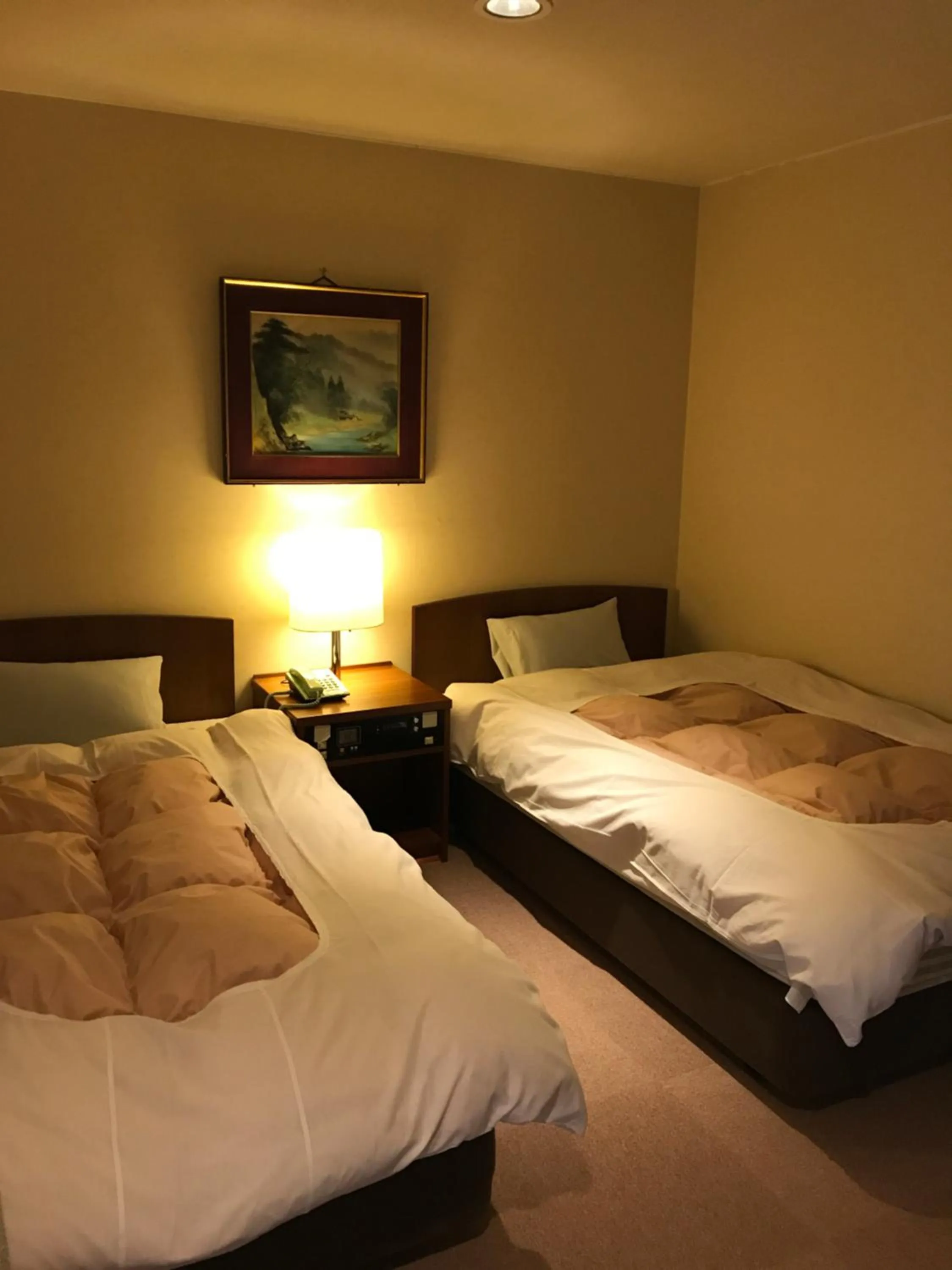 Photo of the whole room, Bed in Hotel Higashidate