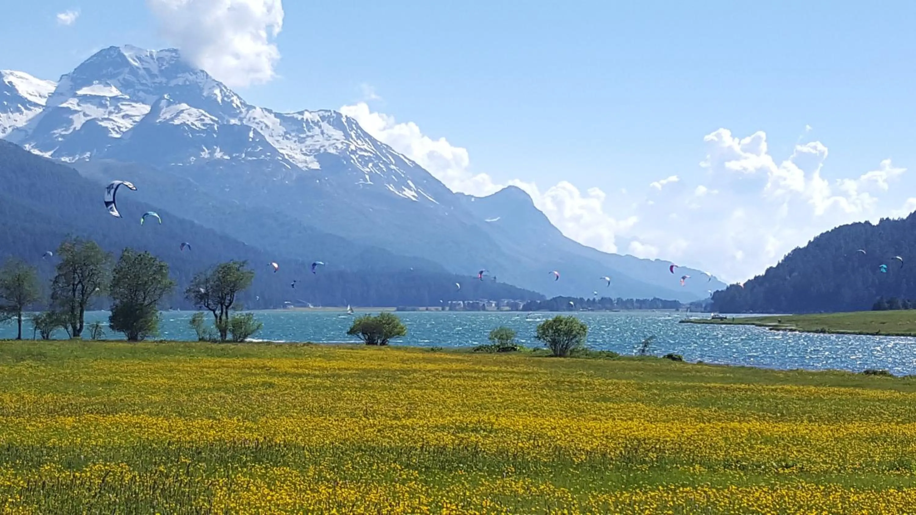 Natural landscape in Hotel Chesa Surlej