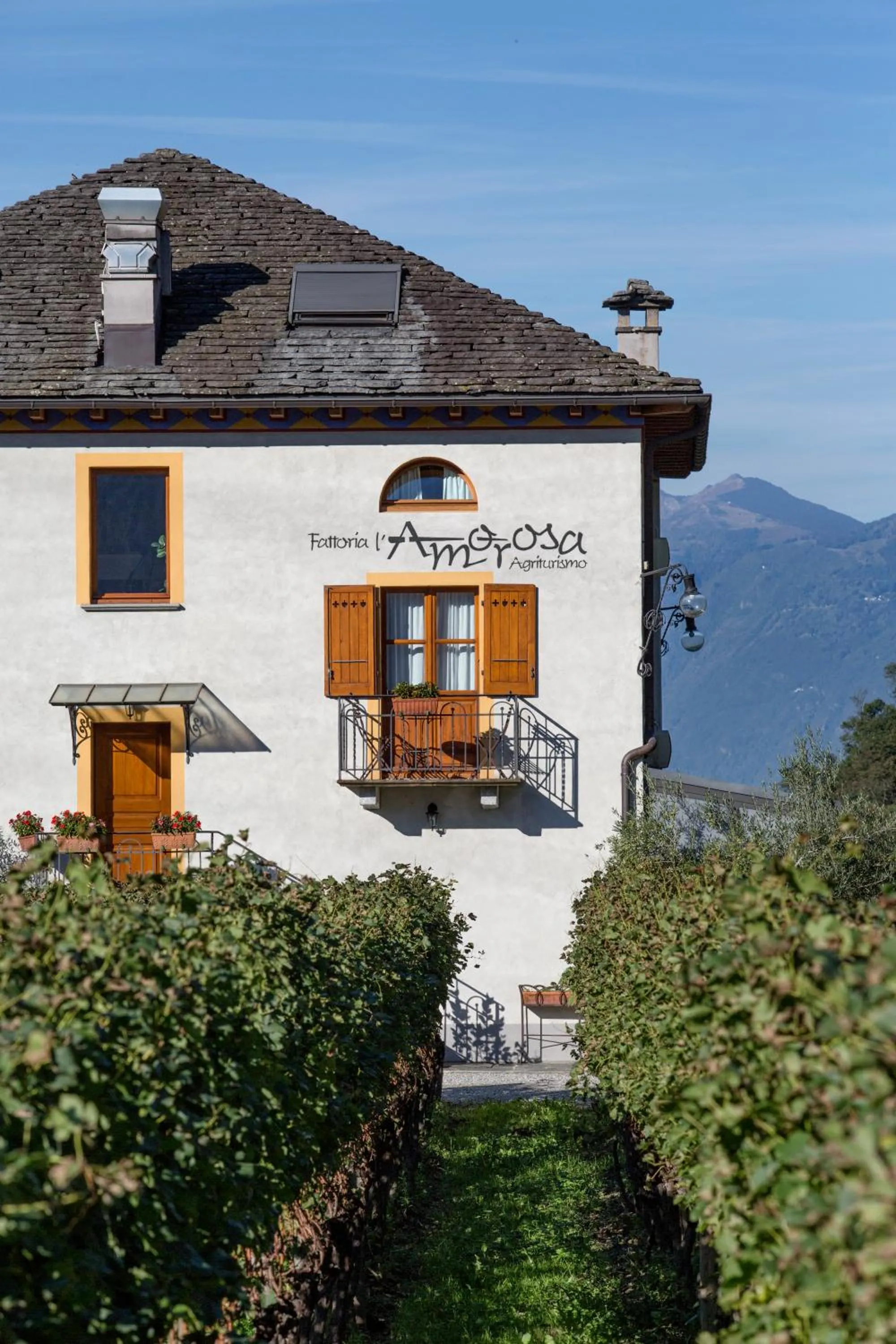 Property building in Fattoria l'Amorosa