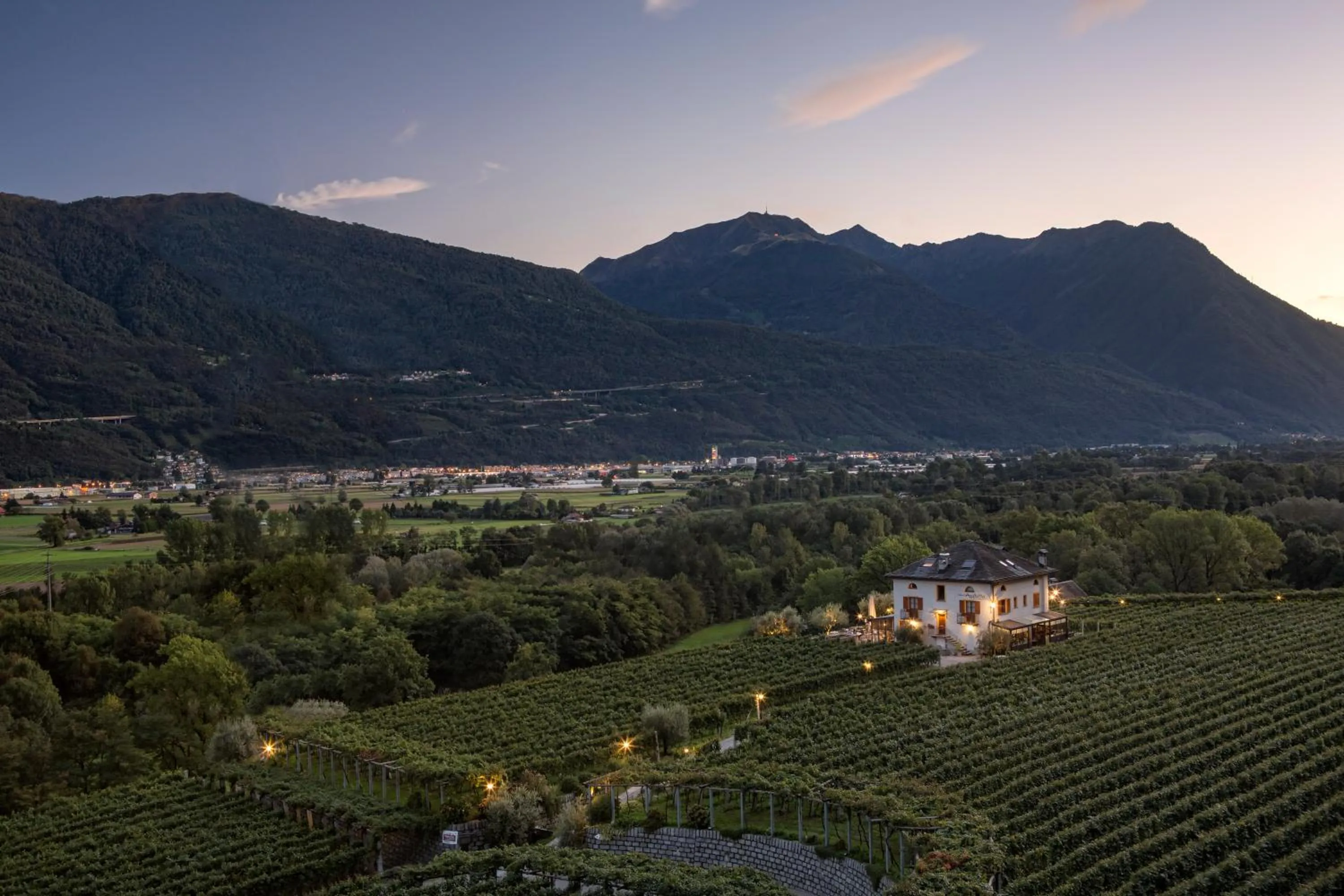 Bird's eye view in Fattoria l'Amorosa
