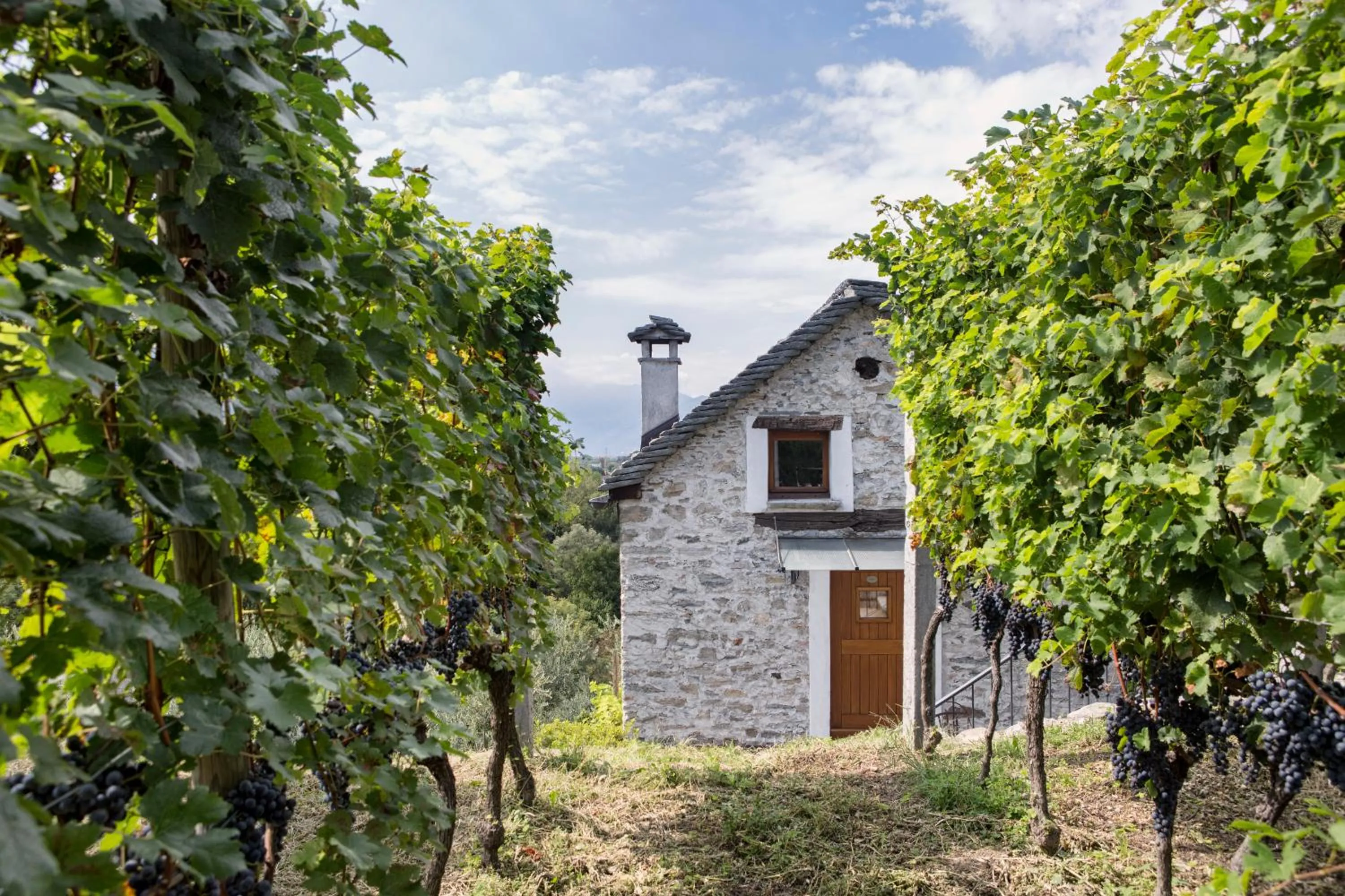 Facade/entrance in Fattoria l'Amorosa