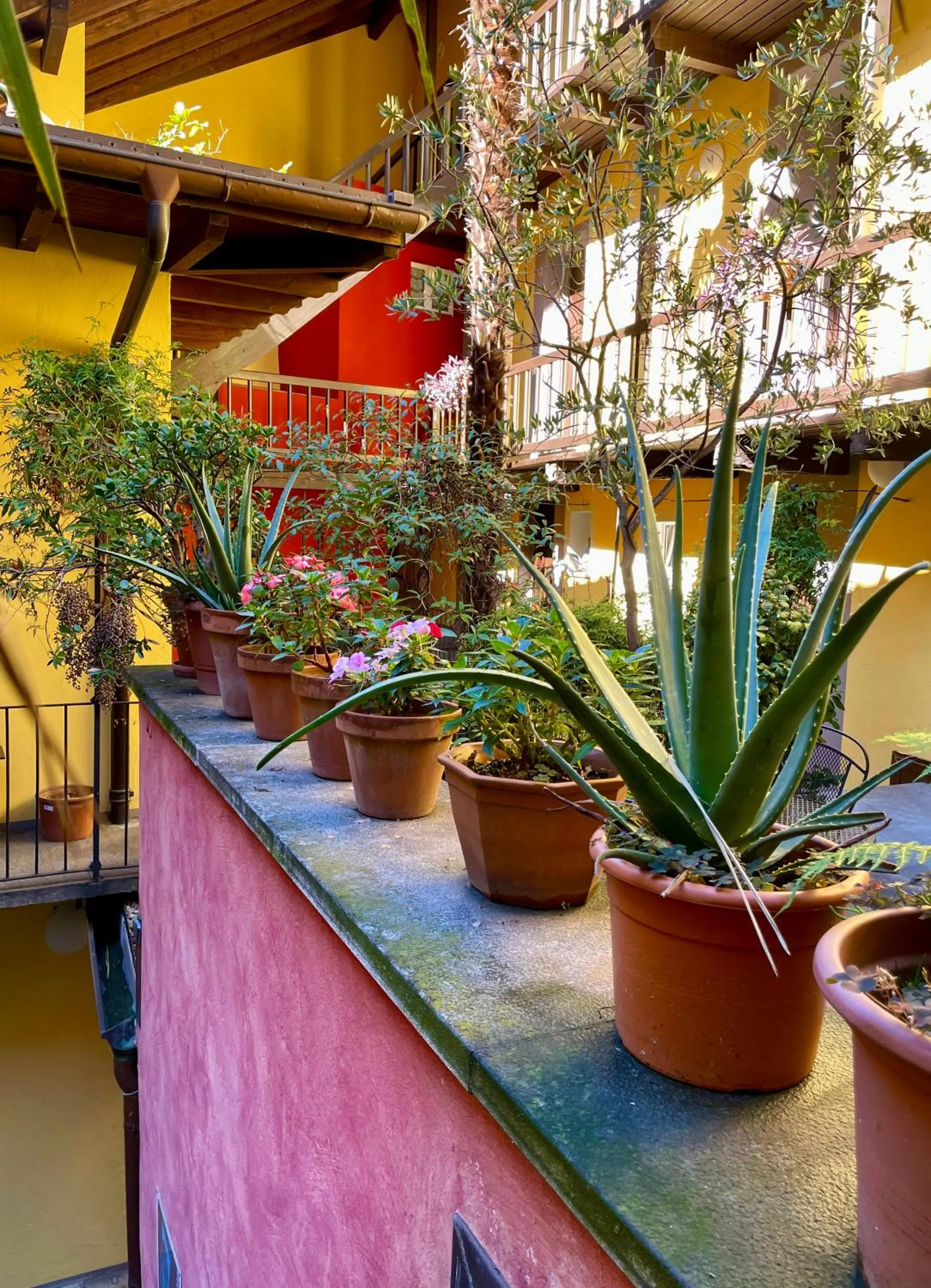 Residenza Motta