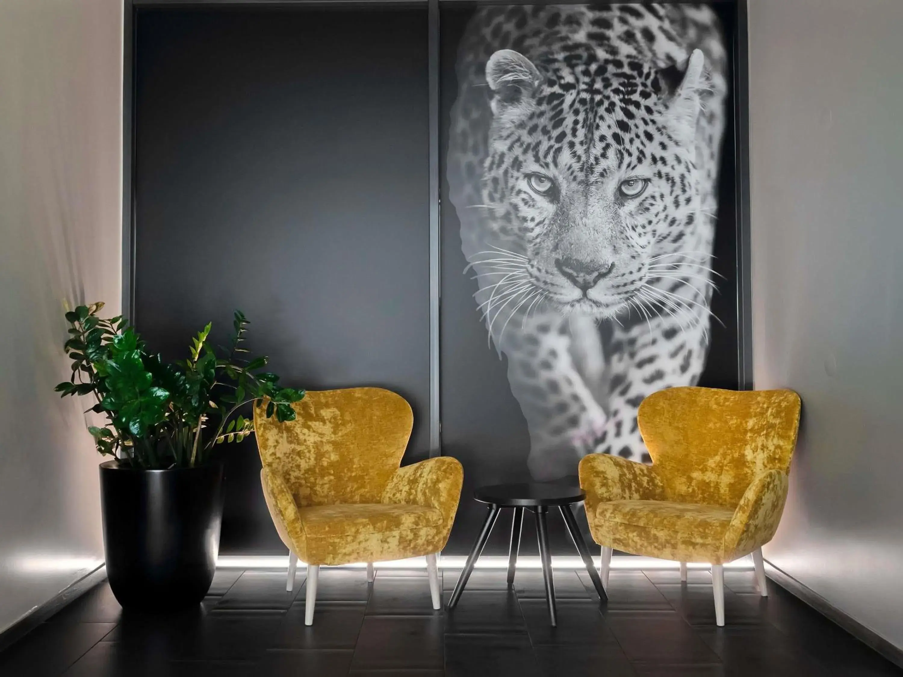 Property building in ibis Locarno Property building in ibis Locarno