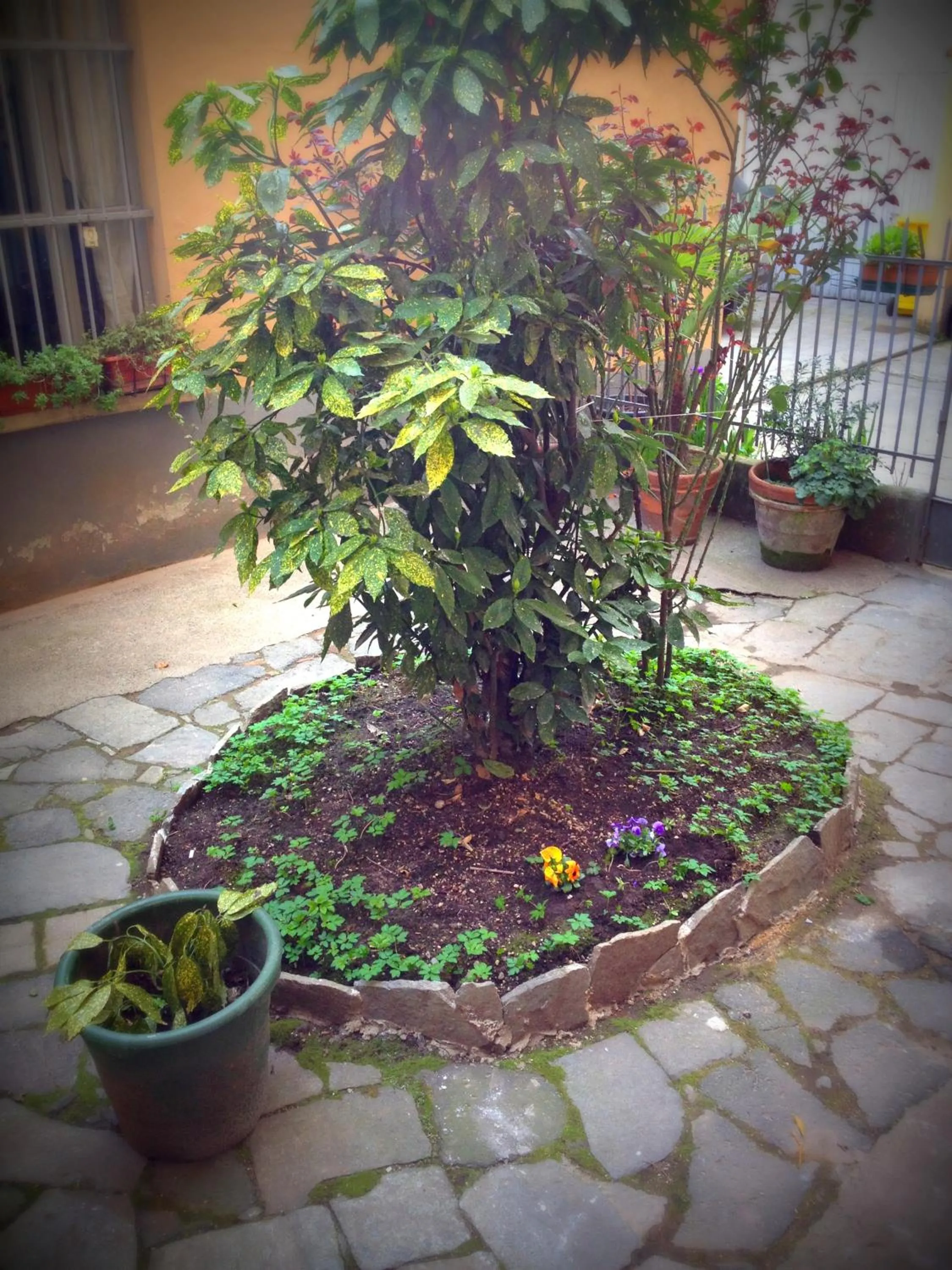 Property building in Susasei