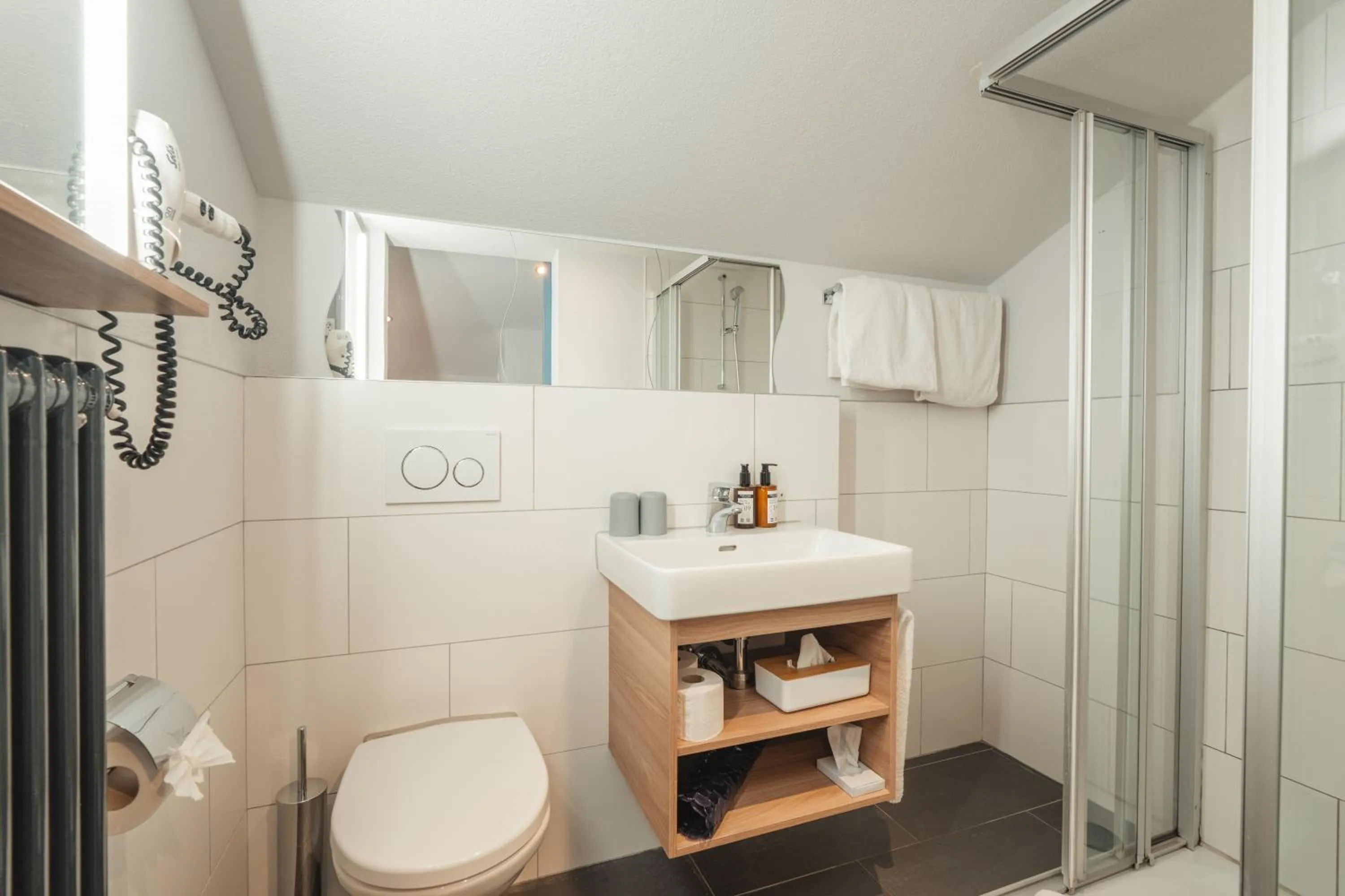 Shower in Hotel Matterhorn Inn