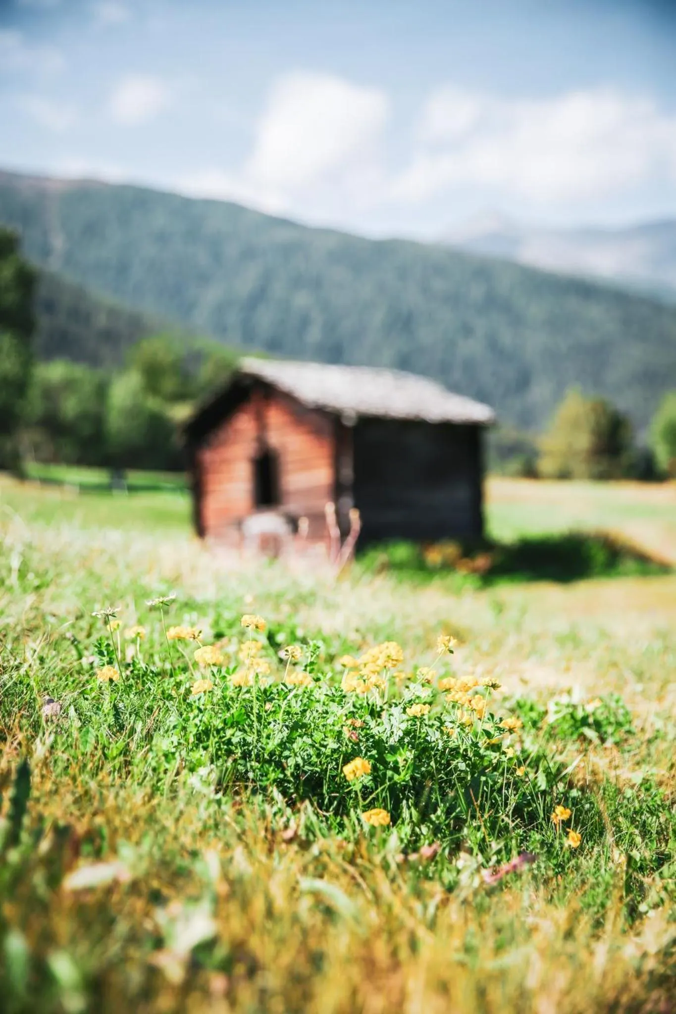 Natural landscape in Hotel Restaurant Bürchnerhof