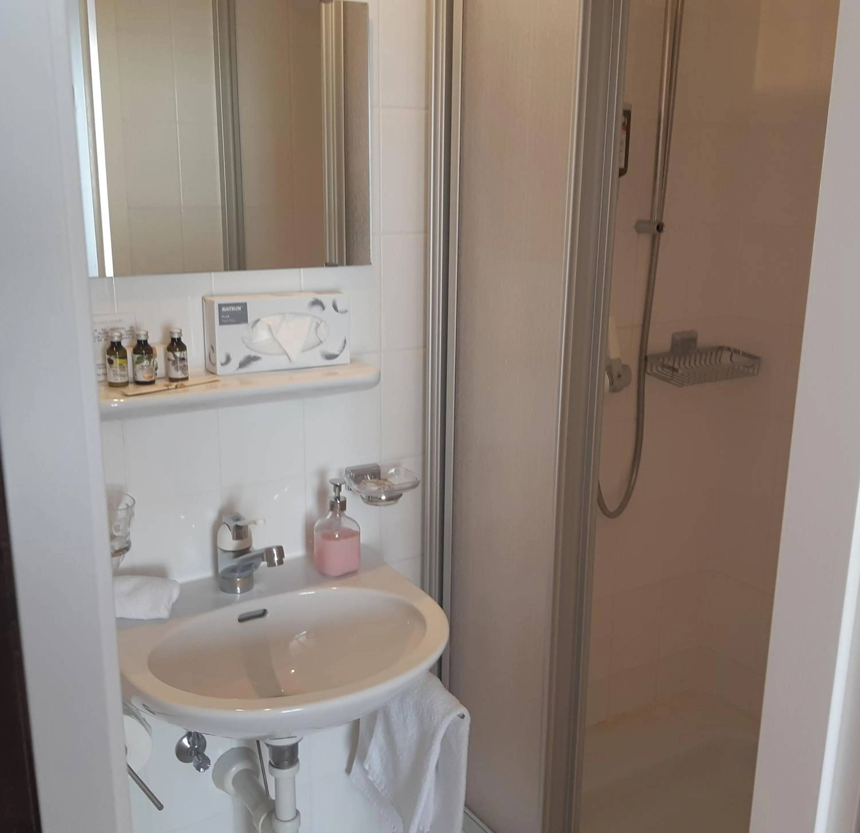 Bathroom in Hotel Regina