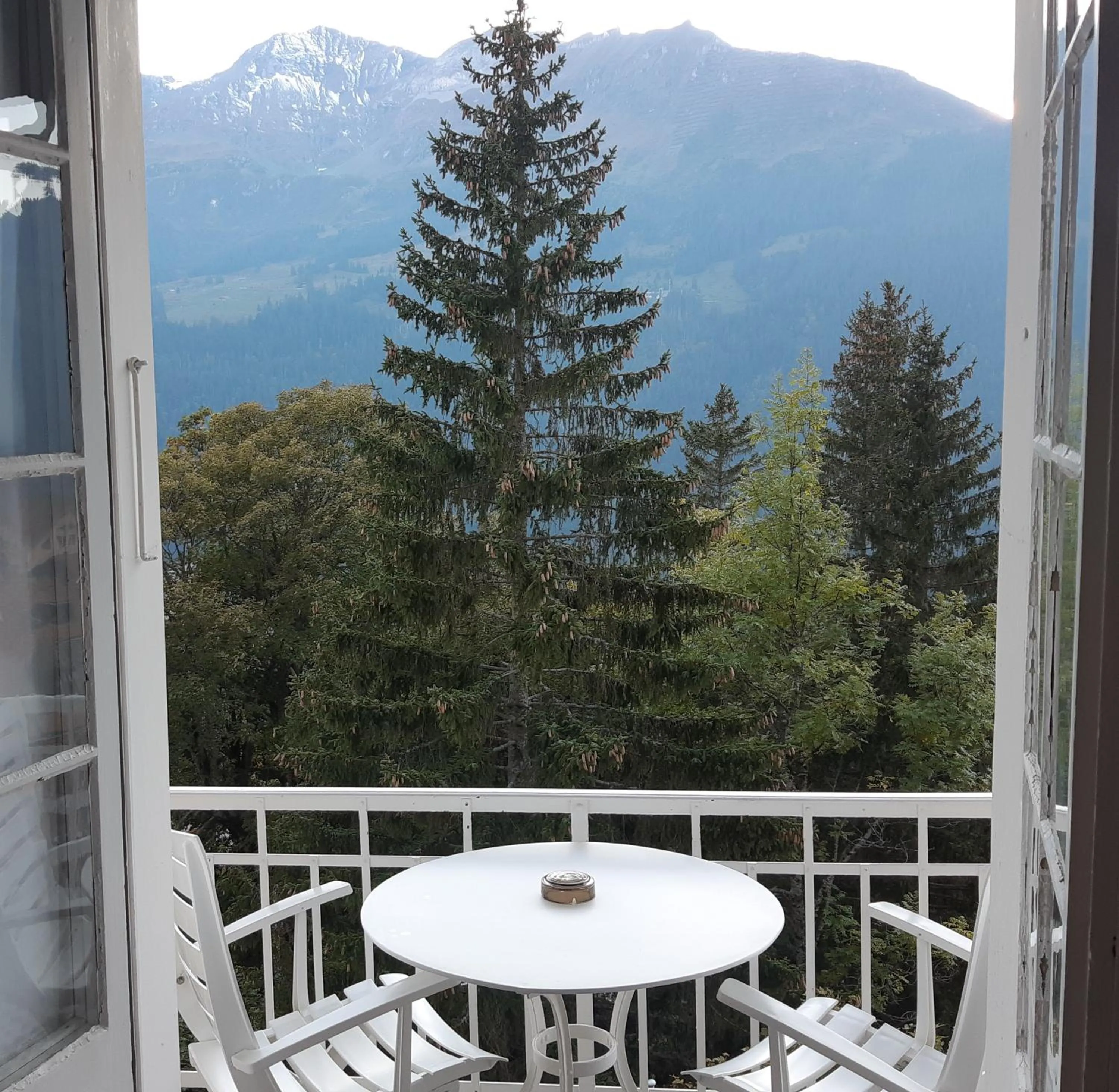 Single Room with Balcony in Hotel Regina