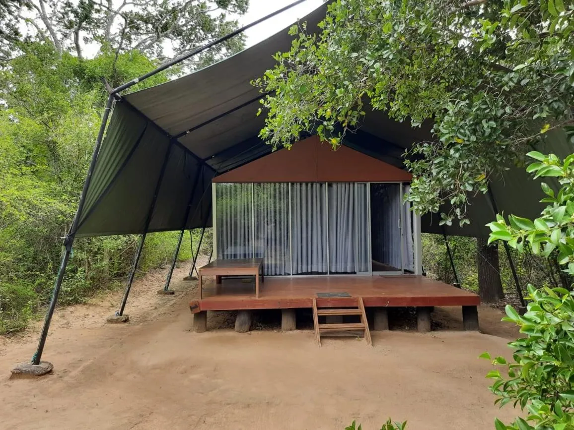 Tent with Free Safari  in Yala Leopard Mobile Camp