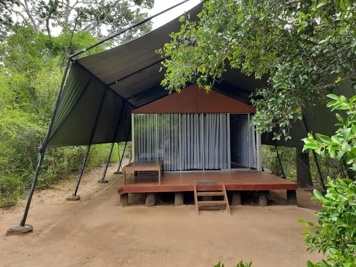 Tent with Free Safari in Yala Leopard Mobile Camp Tent with Free Safari in Yala Leopard Mobile Camp