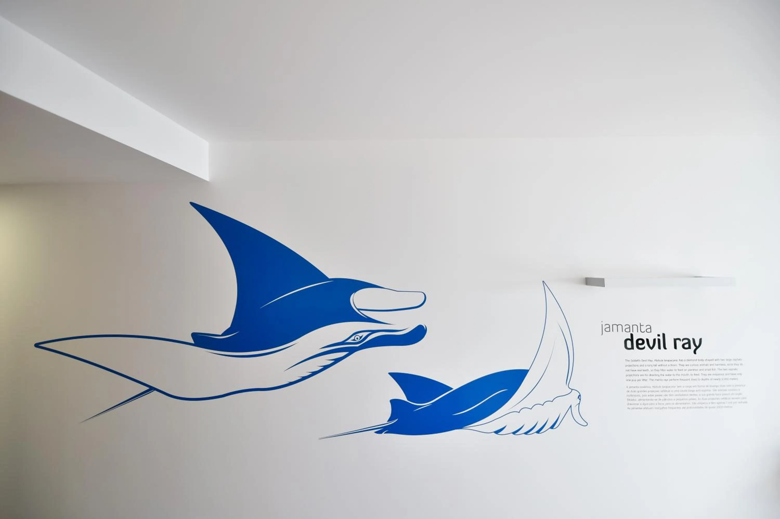 Decorative detail in Casa da Baía - Guest House