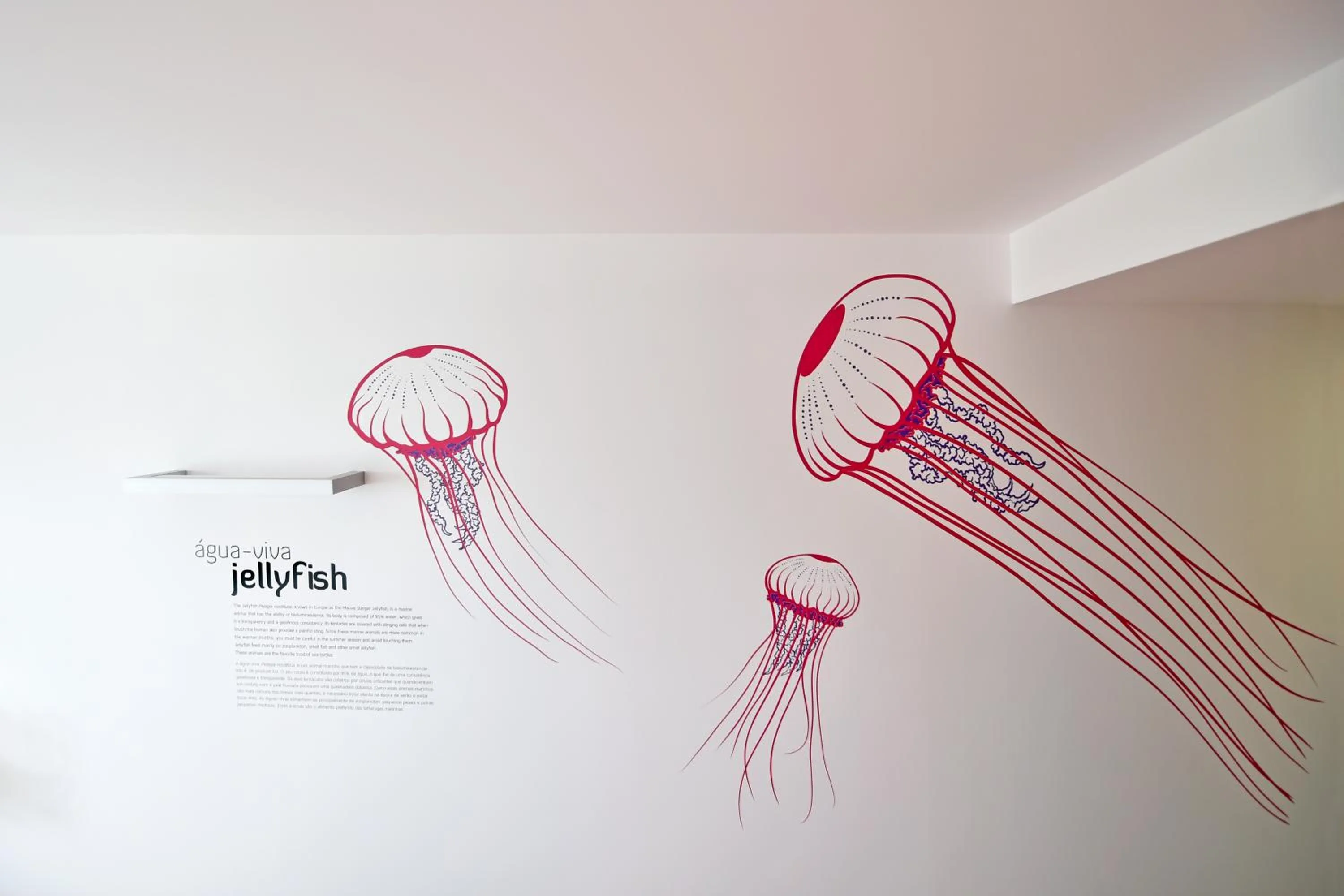 Decorative detail in Casa da Baía - Guest House