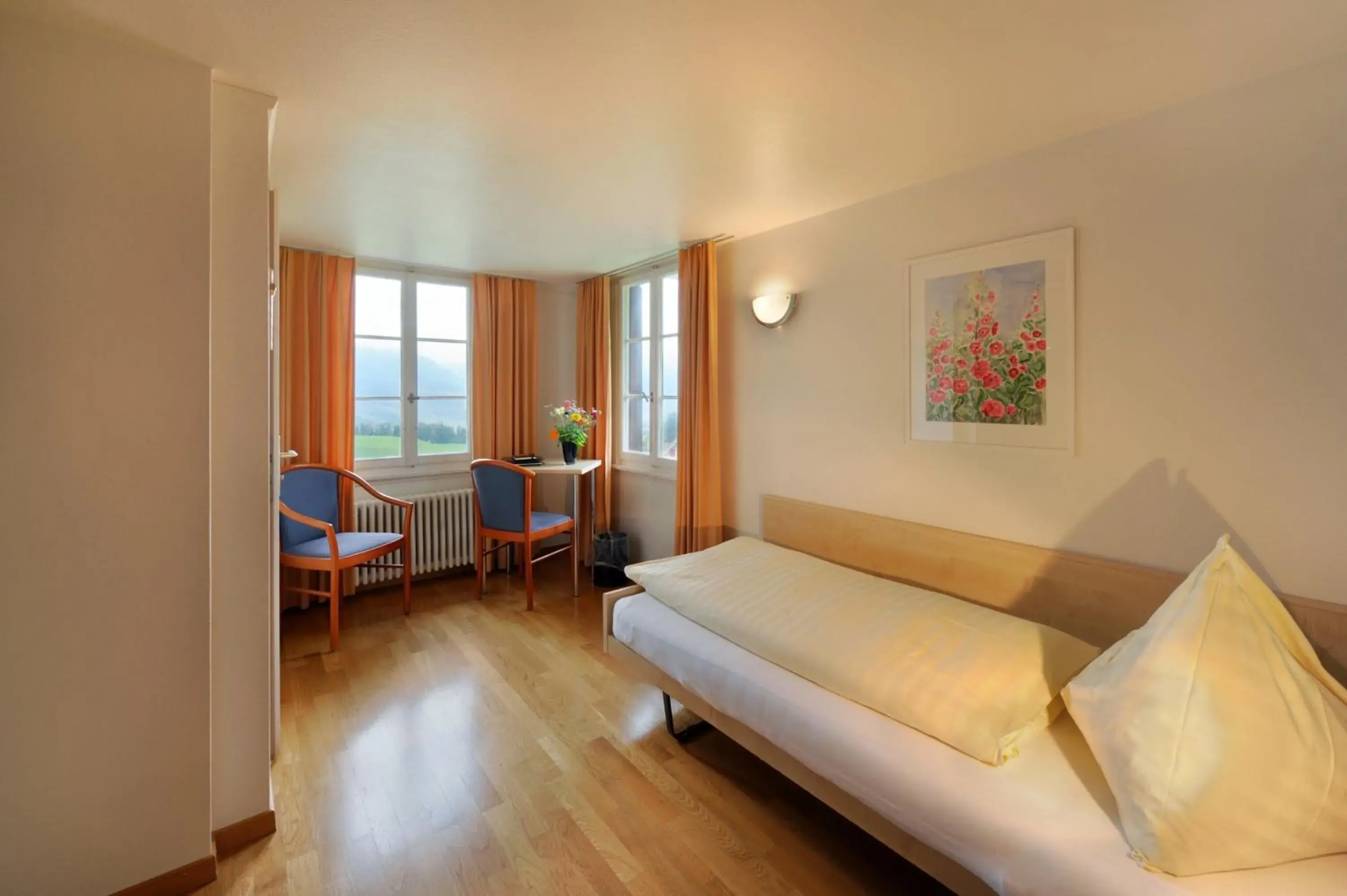 Single Room - single occupancy in Gasthaus Paxmontana Single Room - single occupancy in Gasthaus Paxmontana