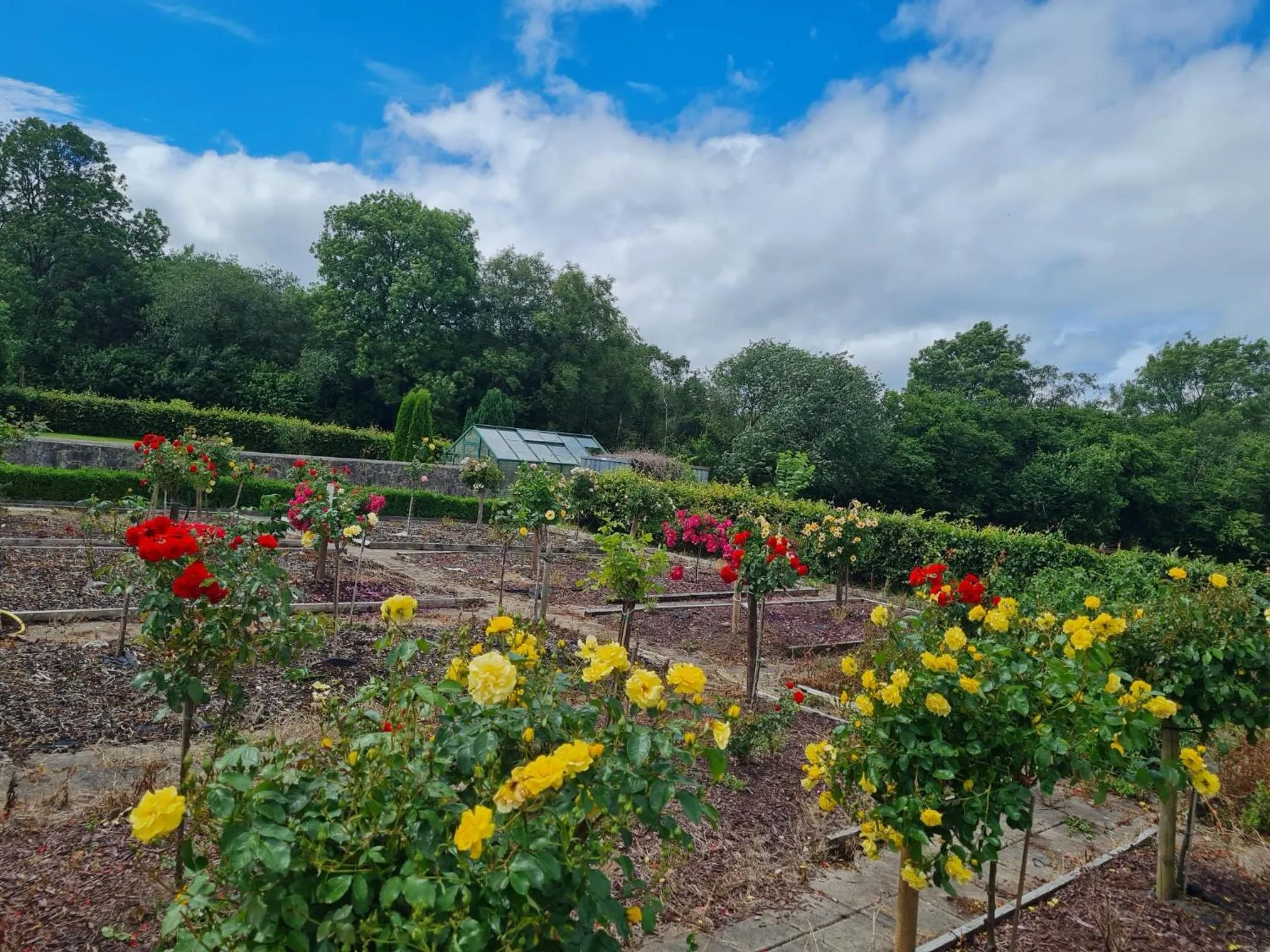 Garden in Hazelwood Country House