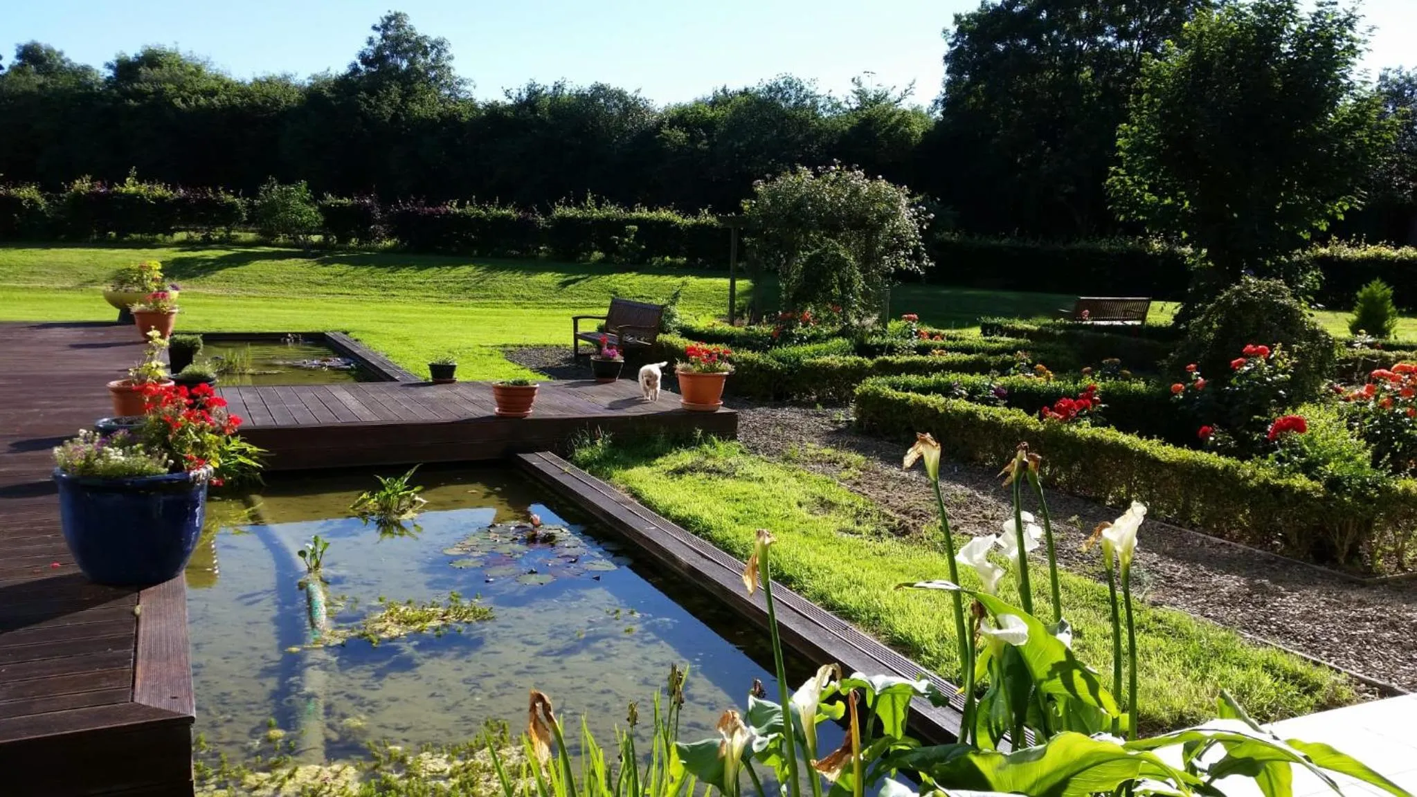 Garden in Hazelwood Country House