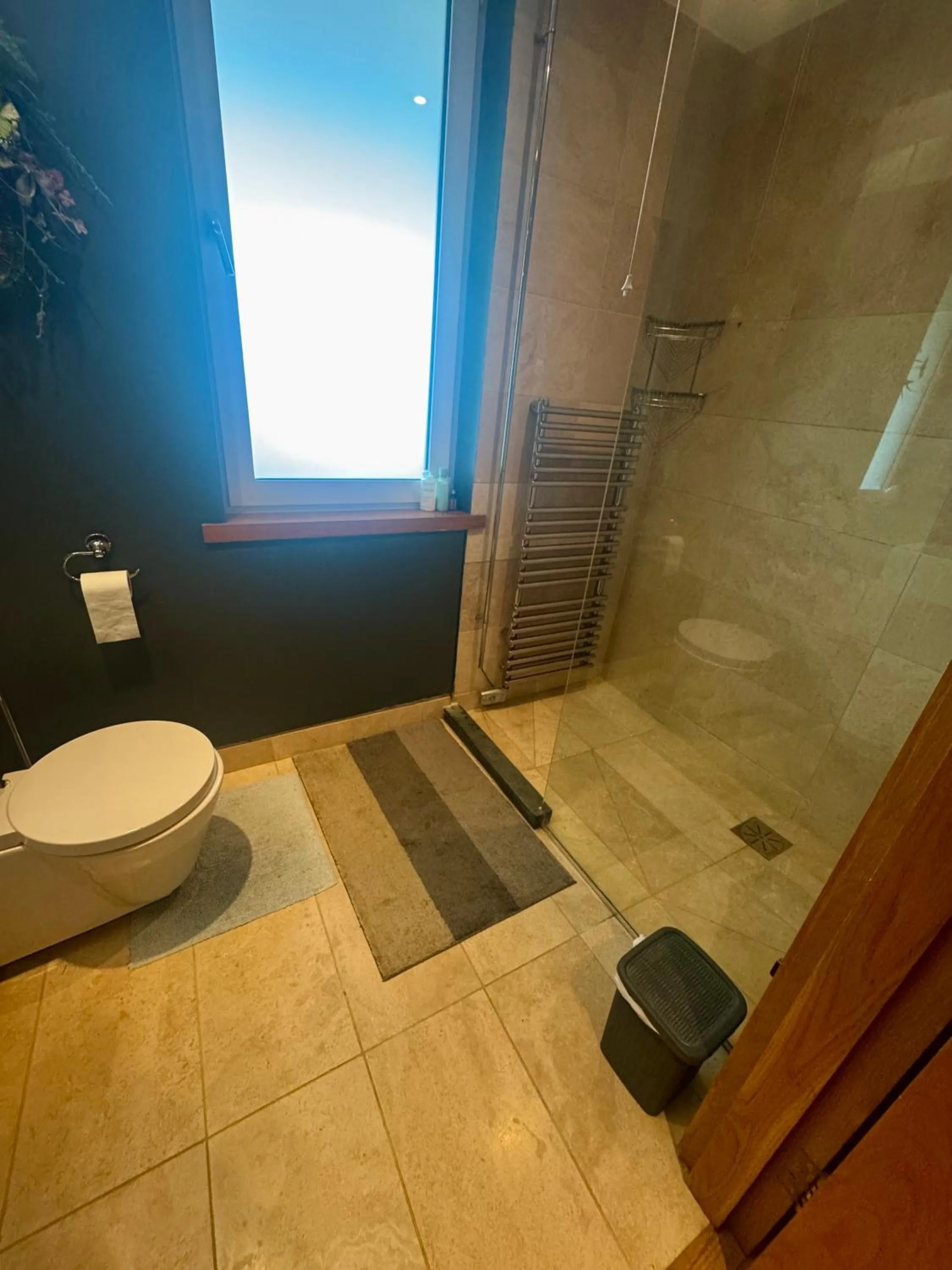 Shower in Hazelwood Country House