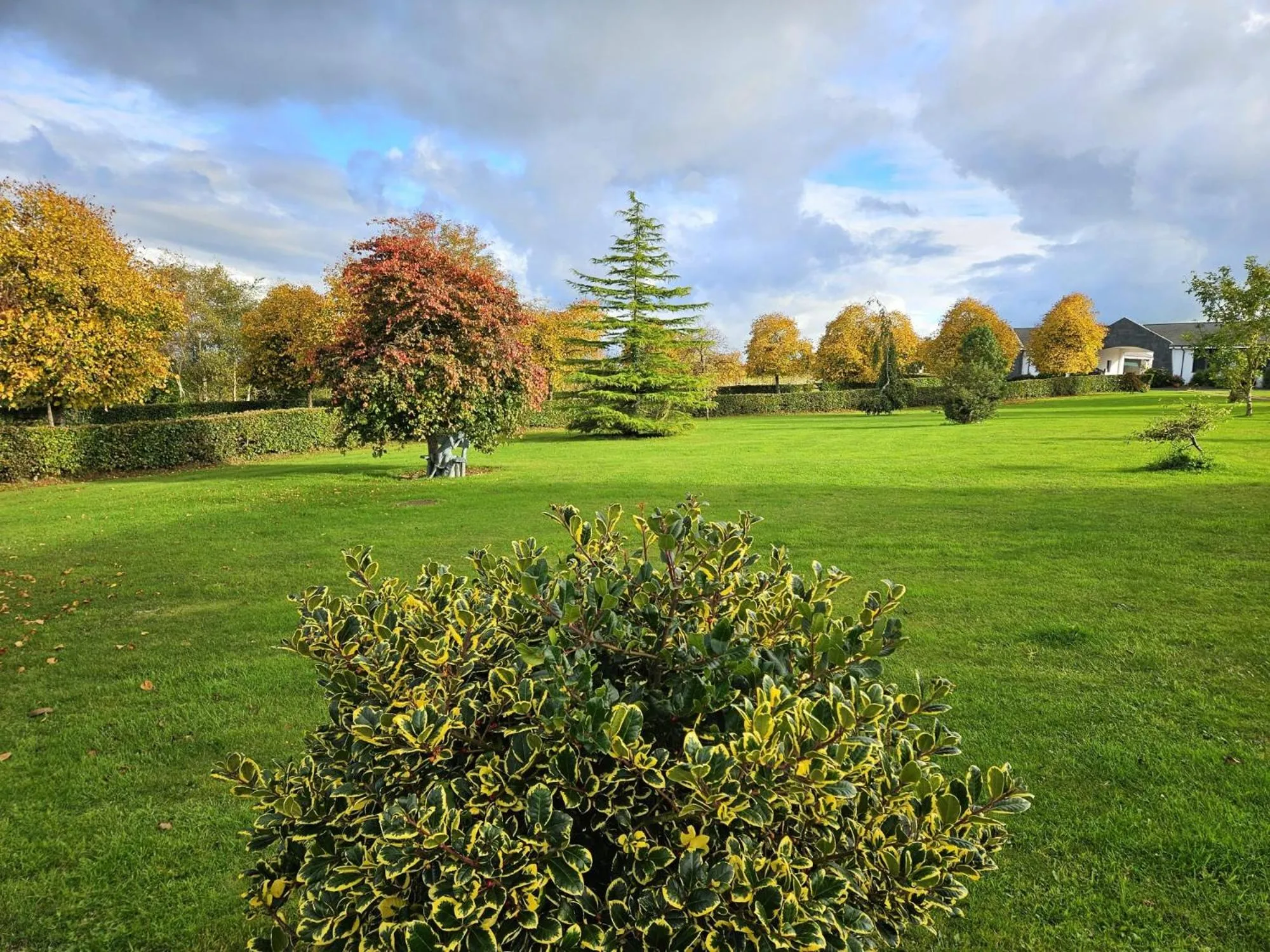 Garden in Hazelwood Country House