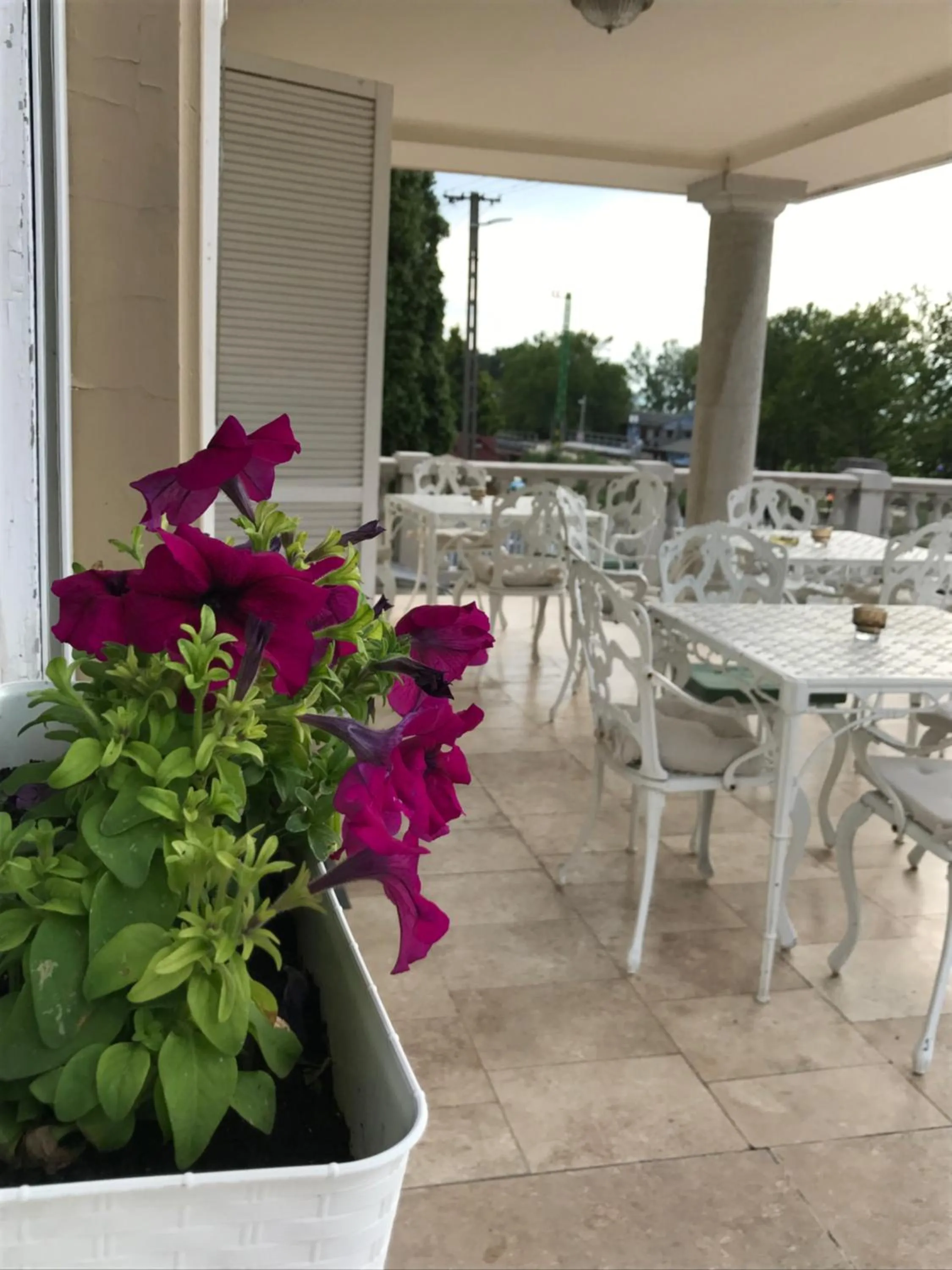Balcony/Terrace in Anna Panzió & Wellness Siófok