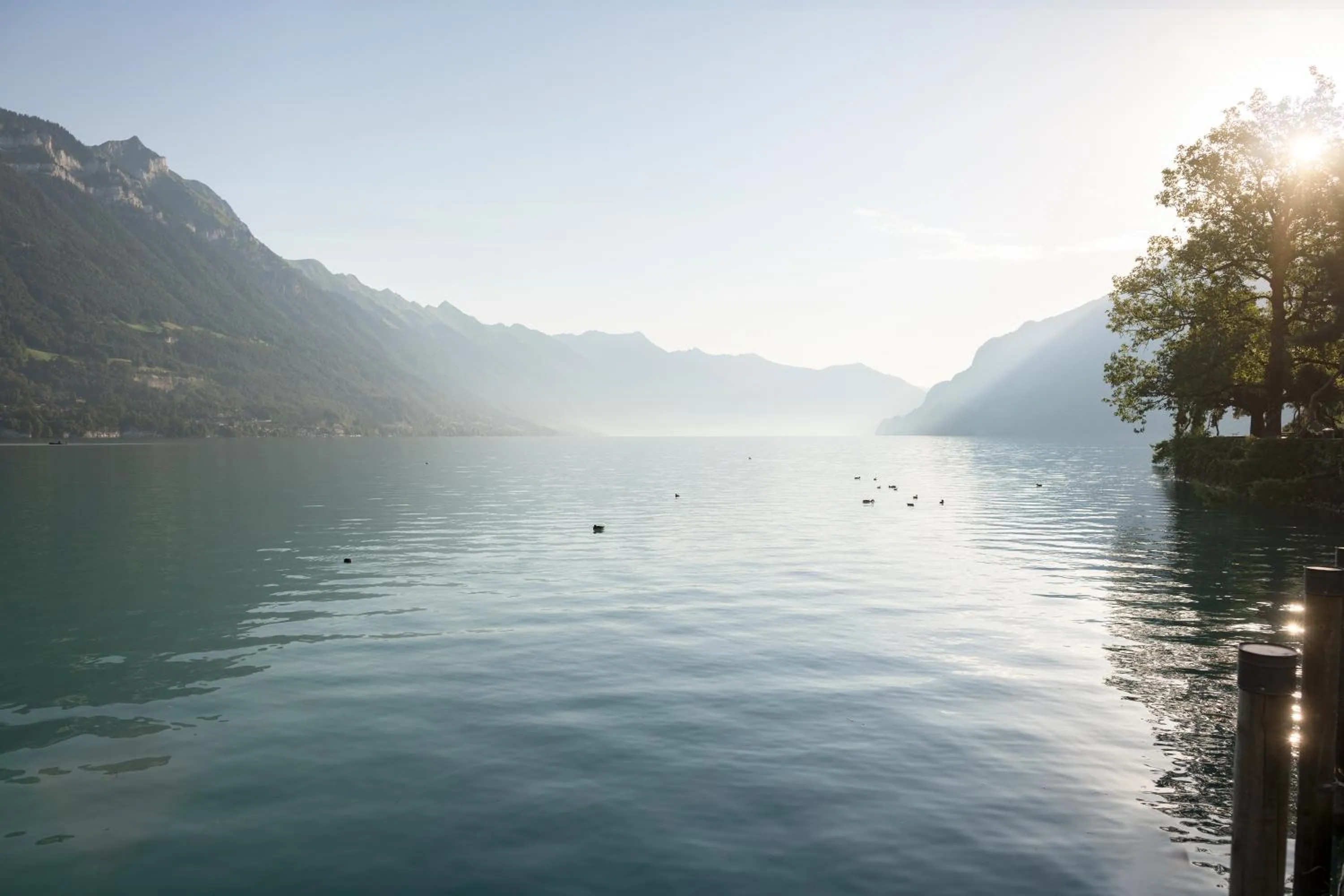 Lake view in Seiler au Lac
